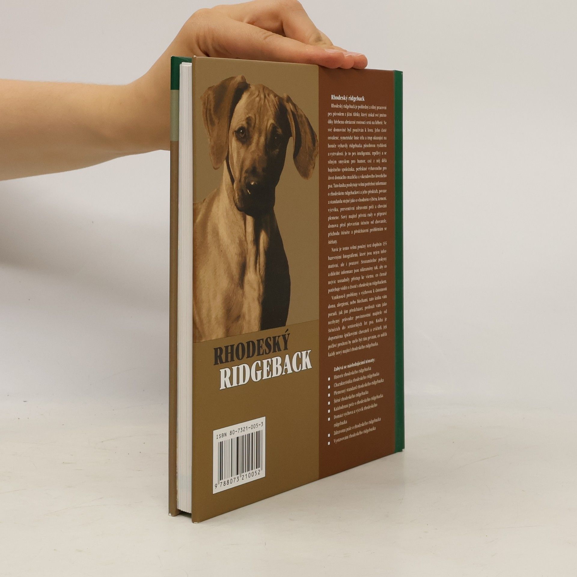 Ann Chamberlain Rhodeský ridgeback