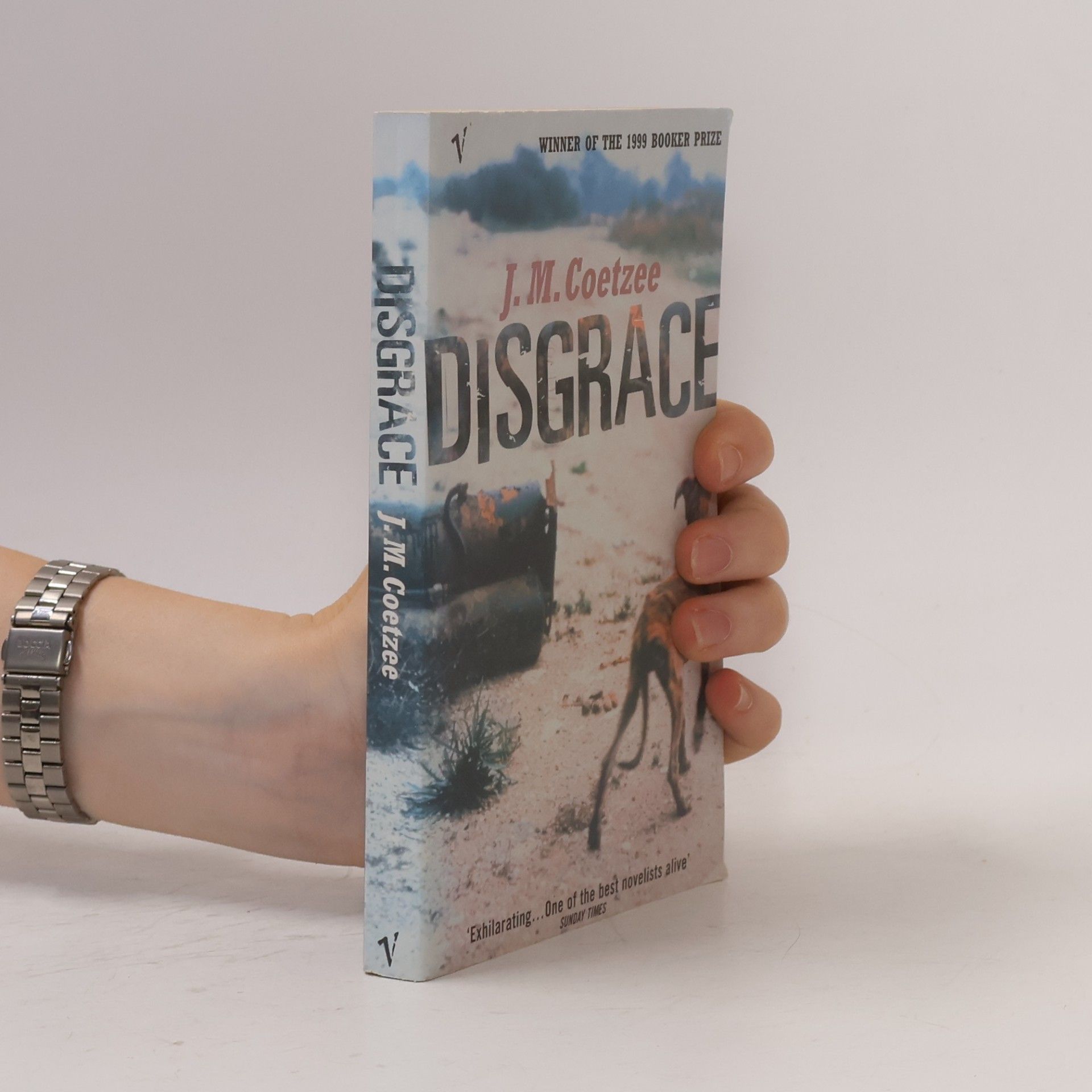 J. M. Coetzee Disgrace