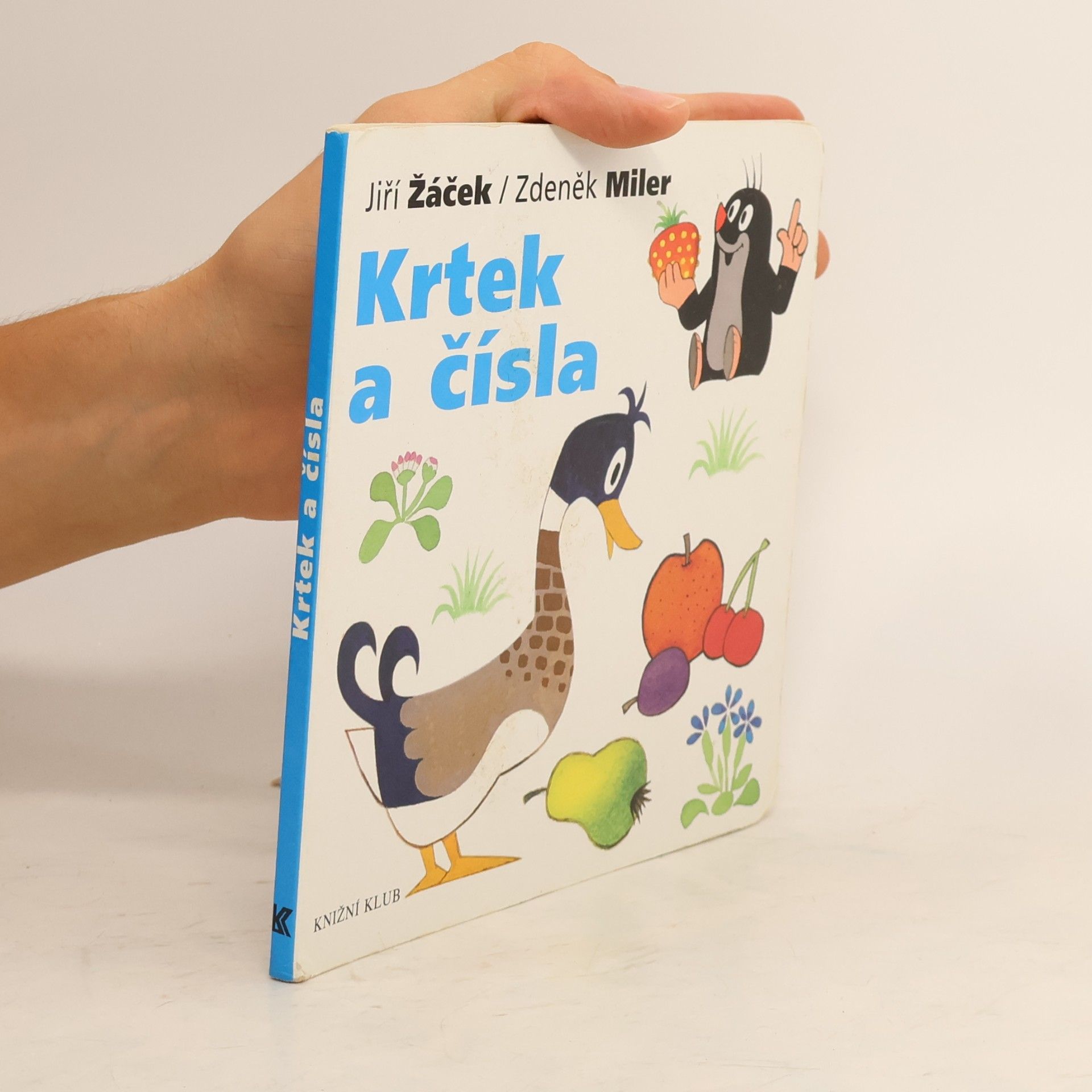 Krtek a čísla
