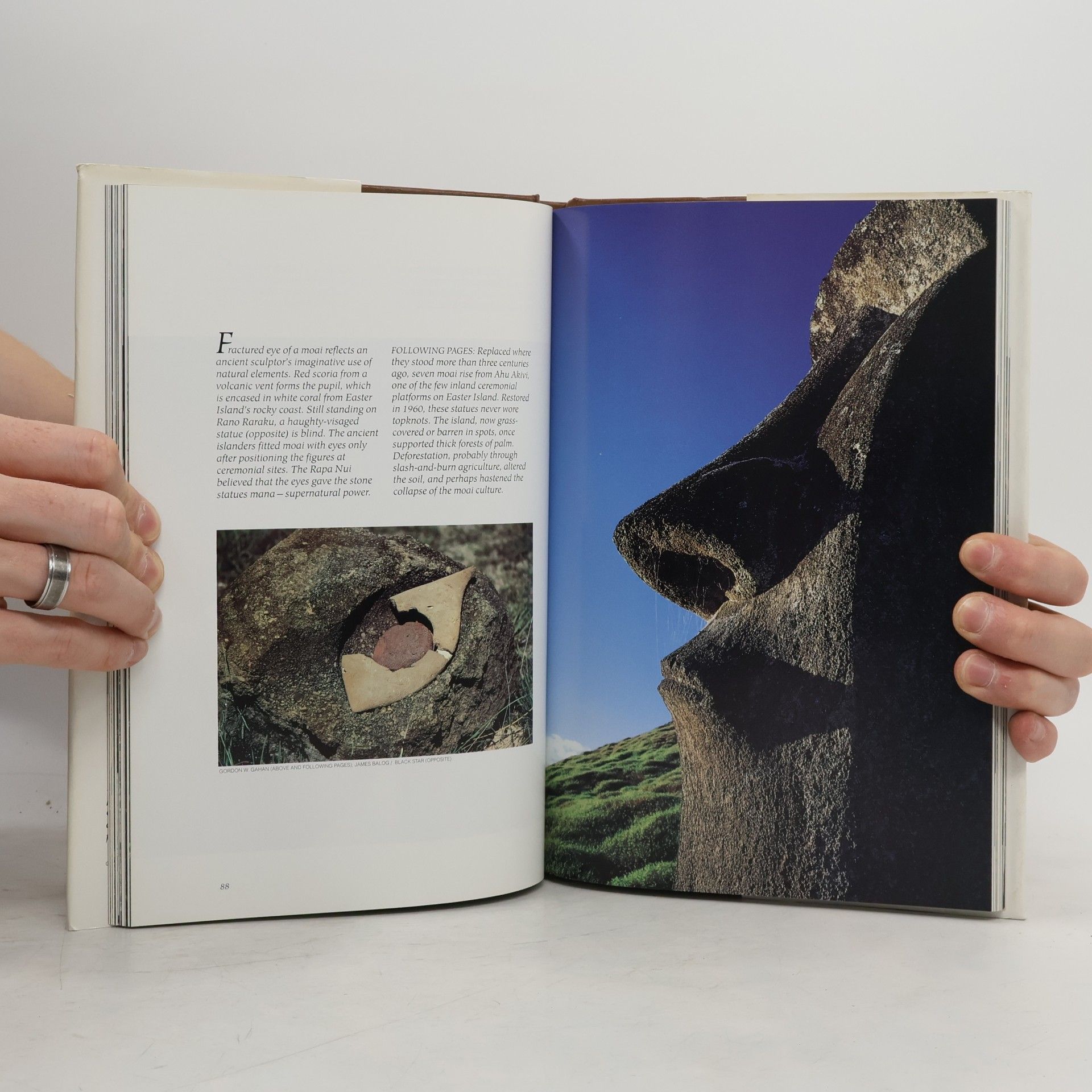 Autorenkollektiv Mysteries of Mankind