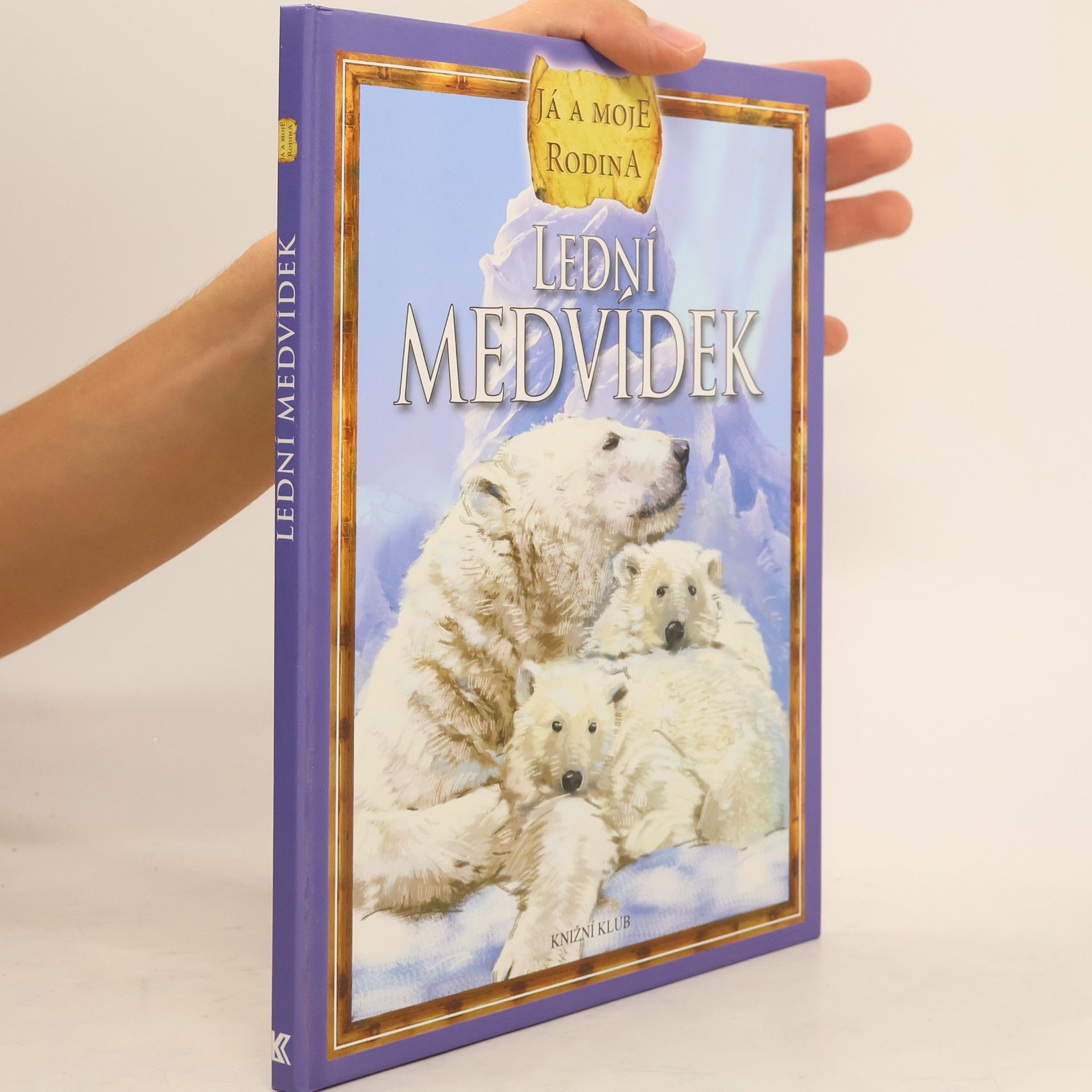 Ivona Březinová Lední medvídek