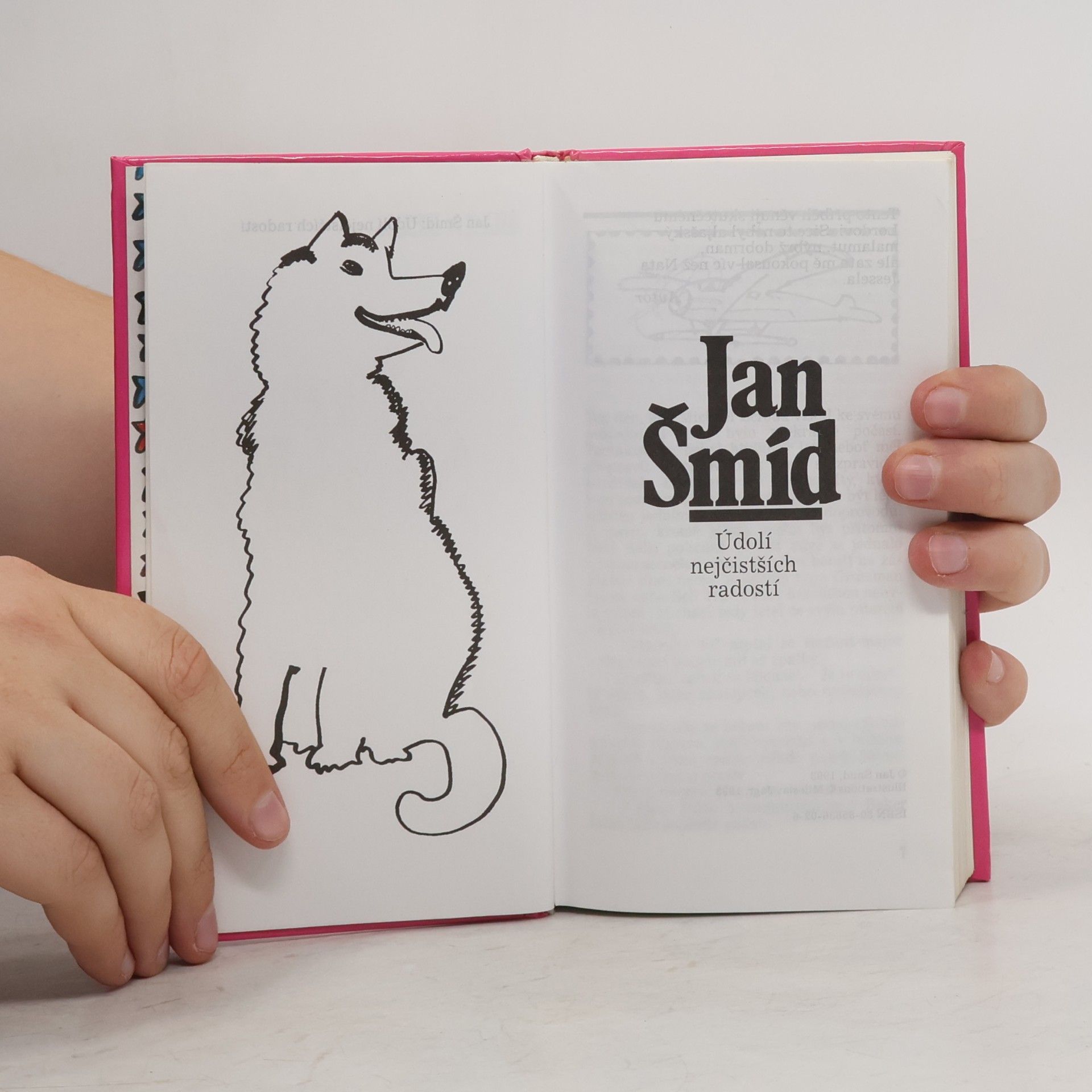 Jan Šmíd Údolí nejčistších radostí