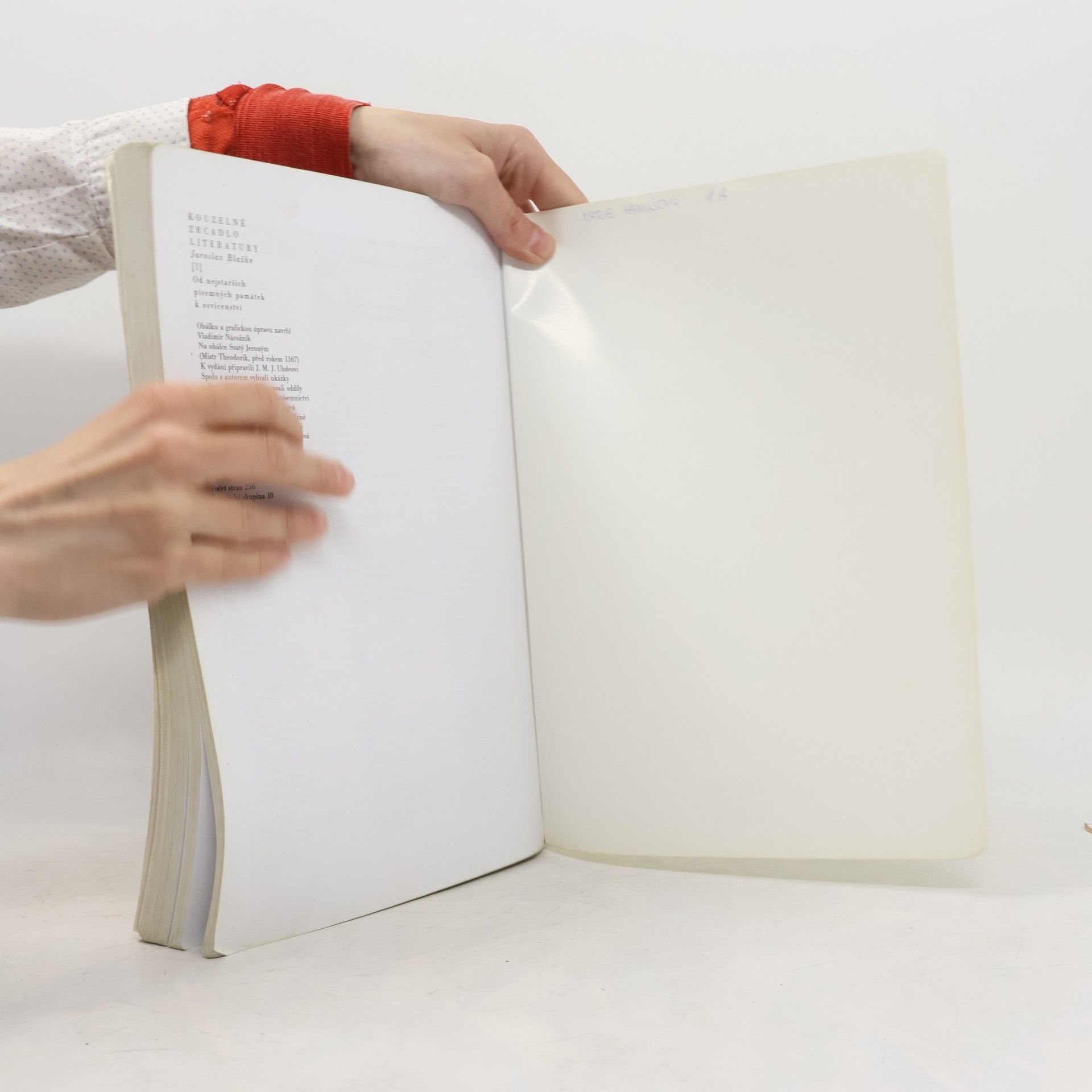 Jaroslav Blažke Kouzelné zrcadlo literatury 1: Od nejstarších písemných památek k osvícenství
