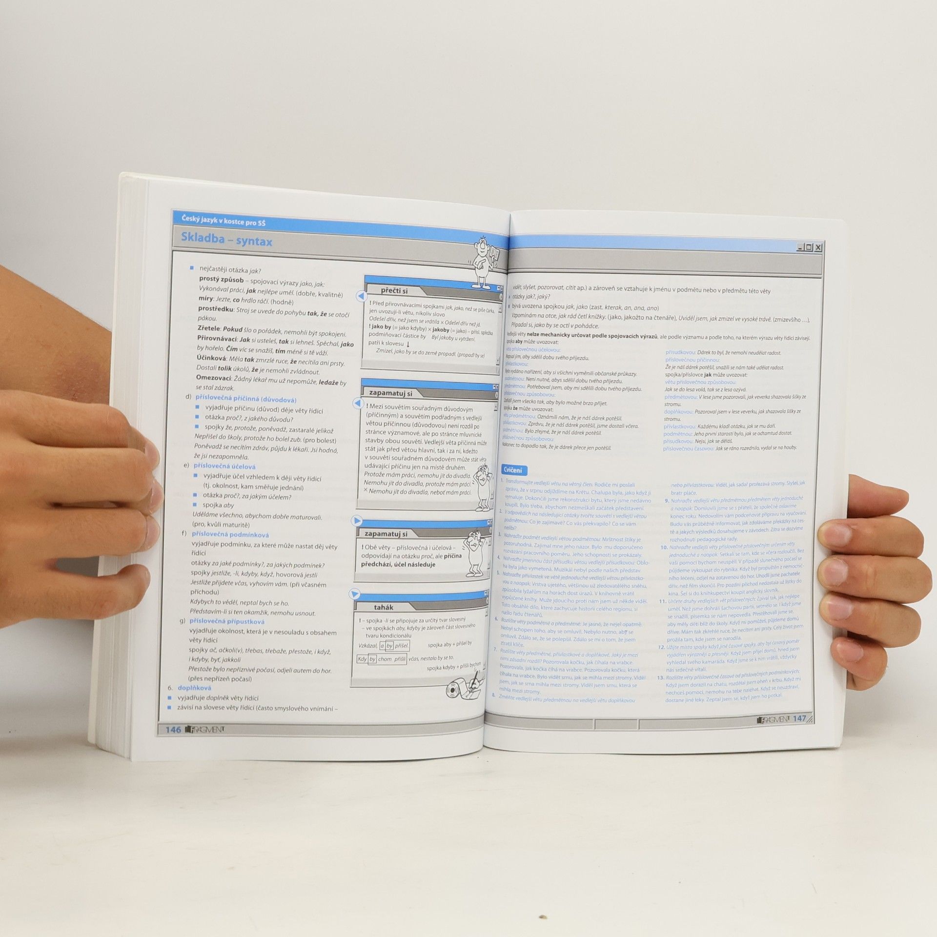 Marie Sochrová Český jazyk v kostce : pro střední školy