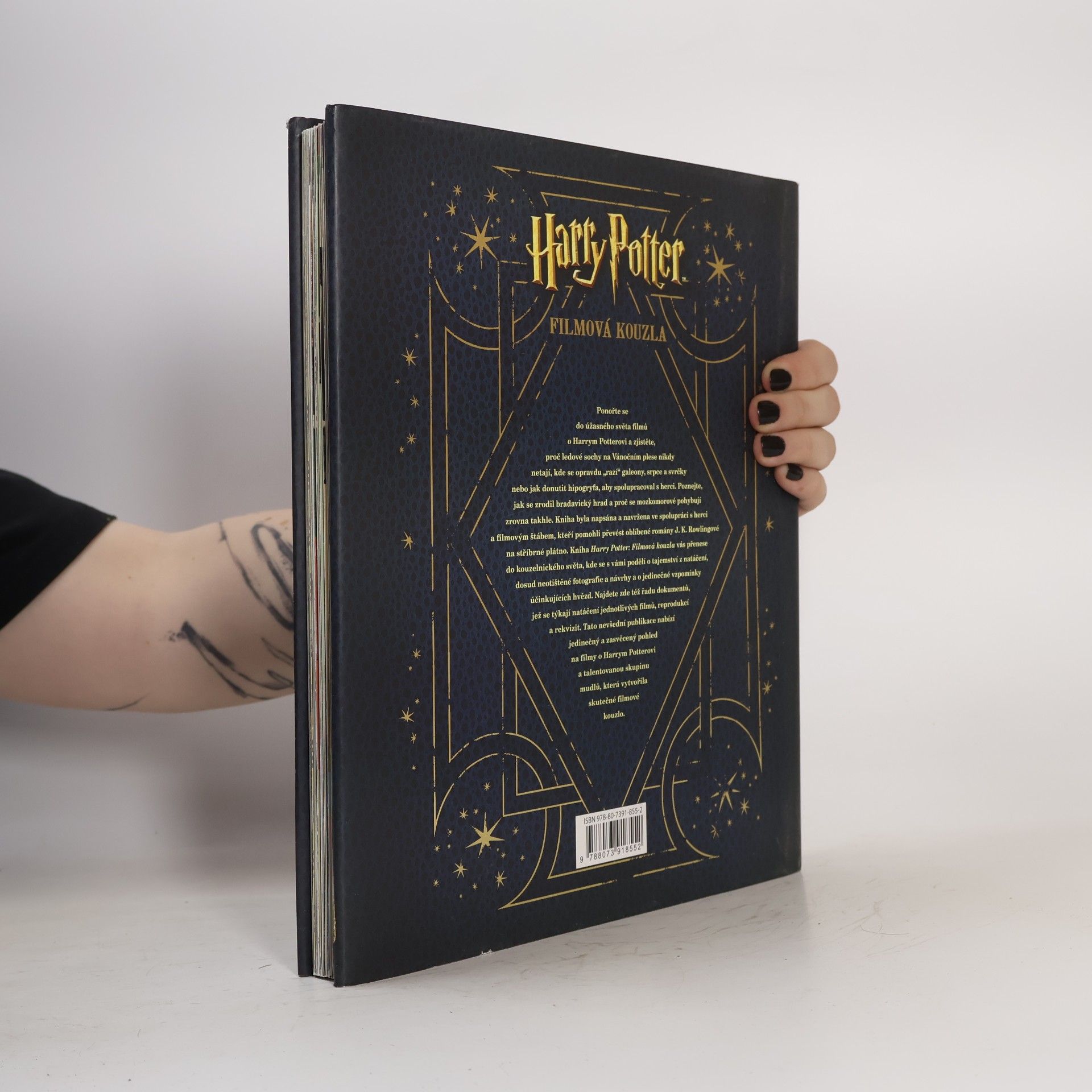Brian Sibley Harry Potter: Filmová kouzla