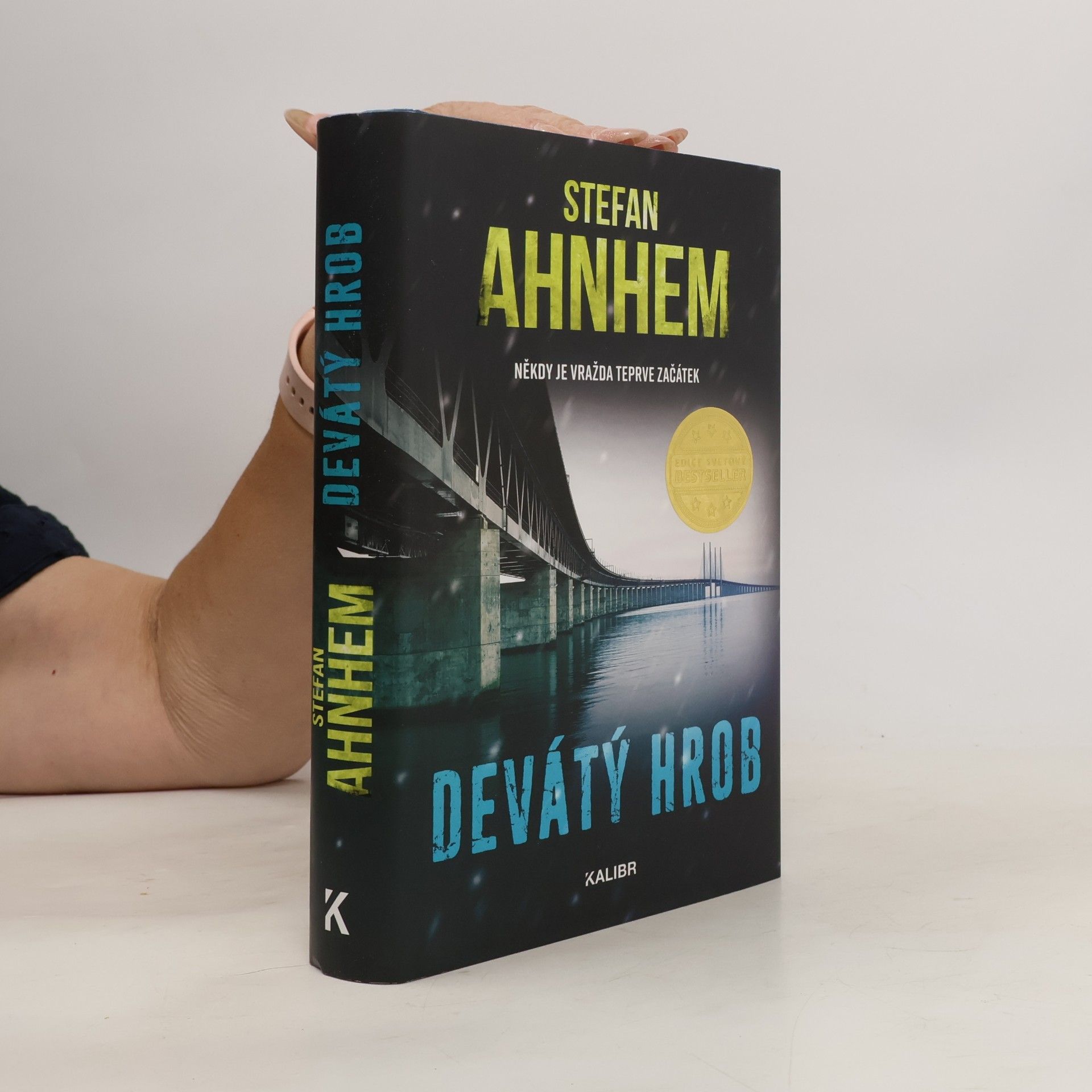 Stefan Ahnhem Devátý hrob