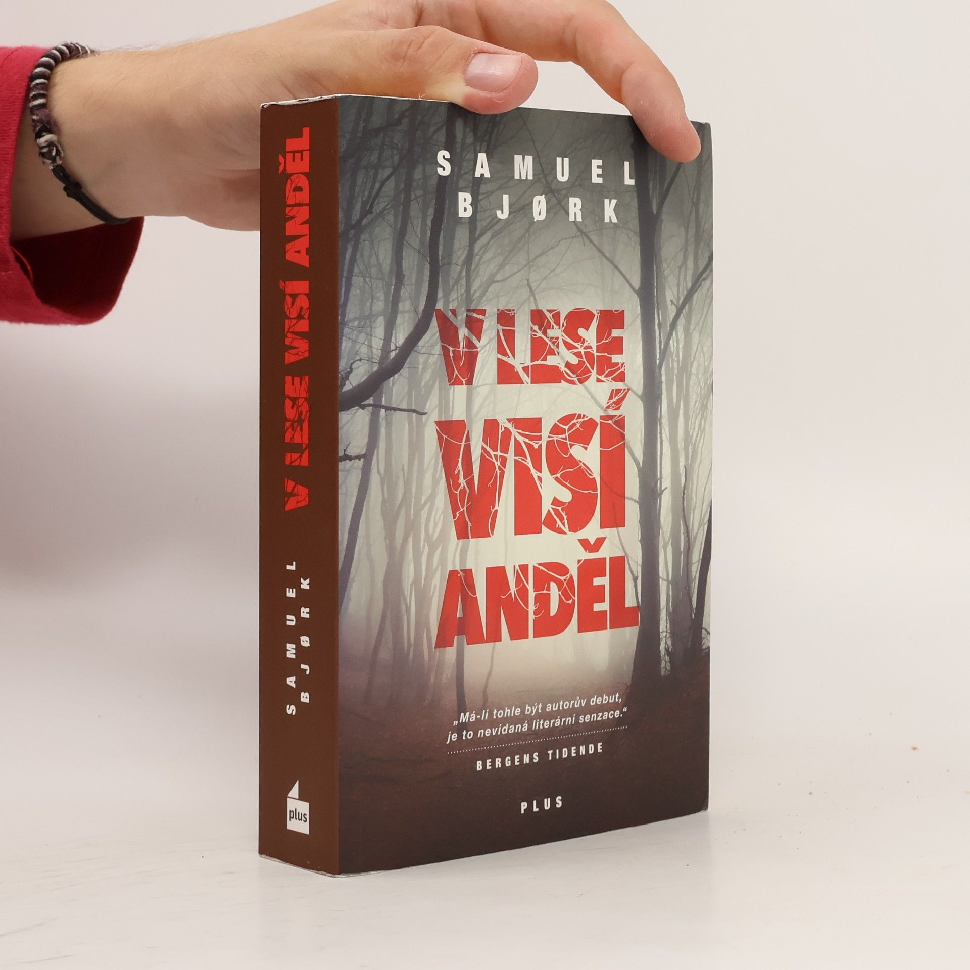 Samuel Bjork V lese visí anděl