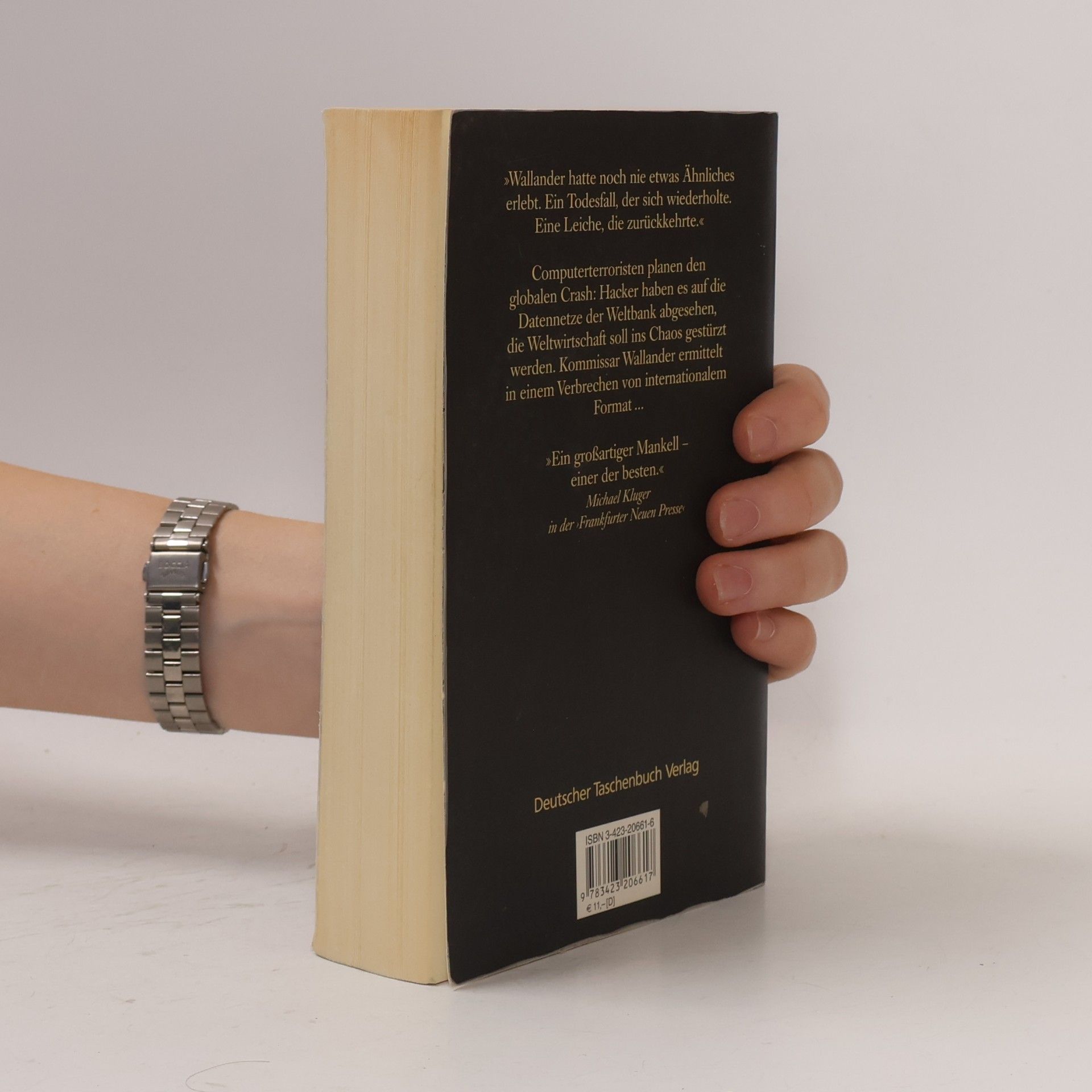Henning Mankell Die Brandmauer