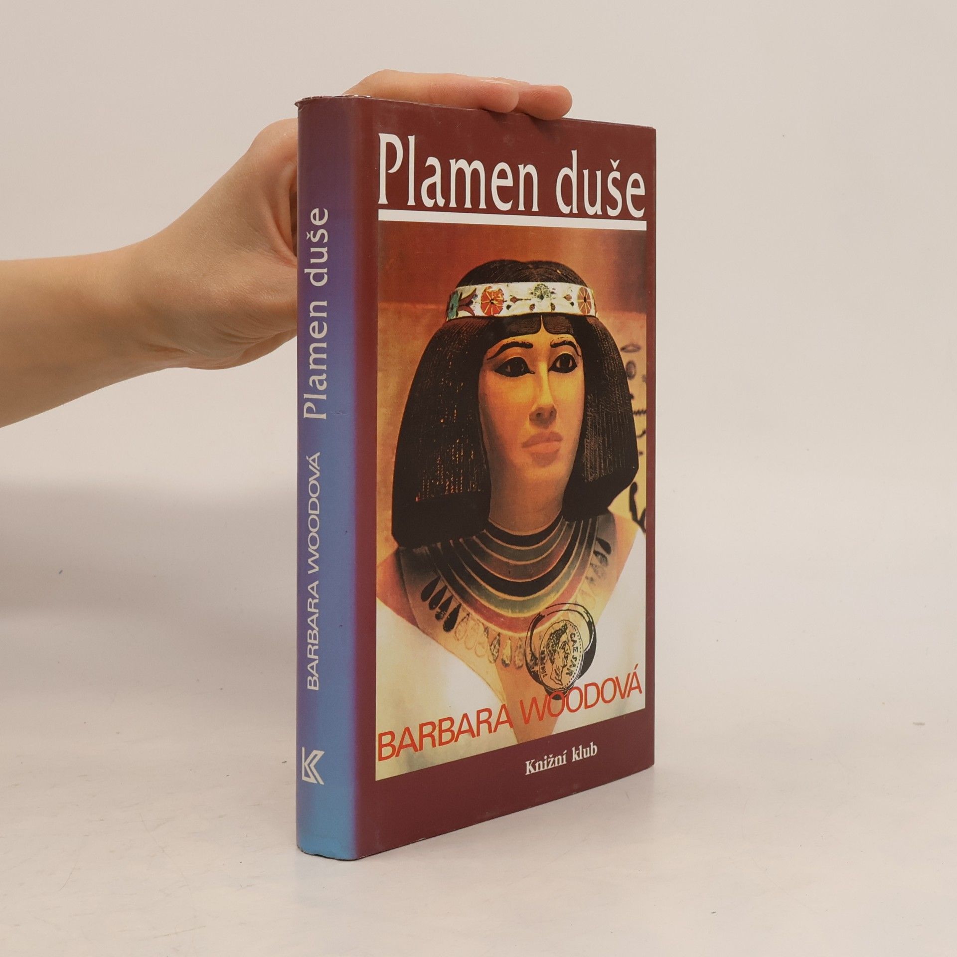 Barbara Wood Plamen duše