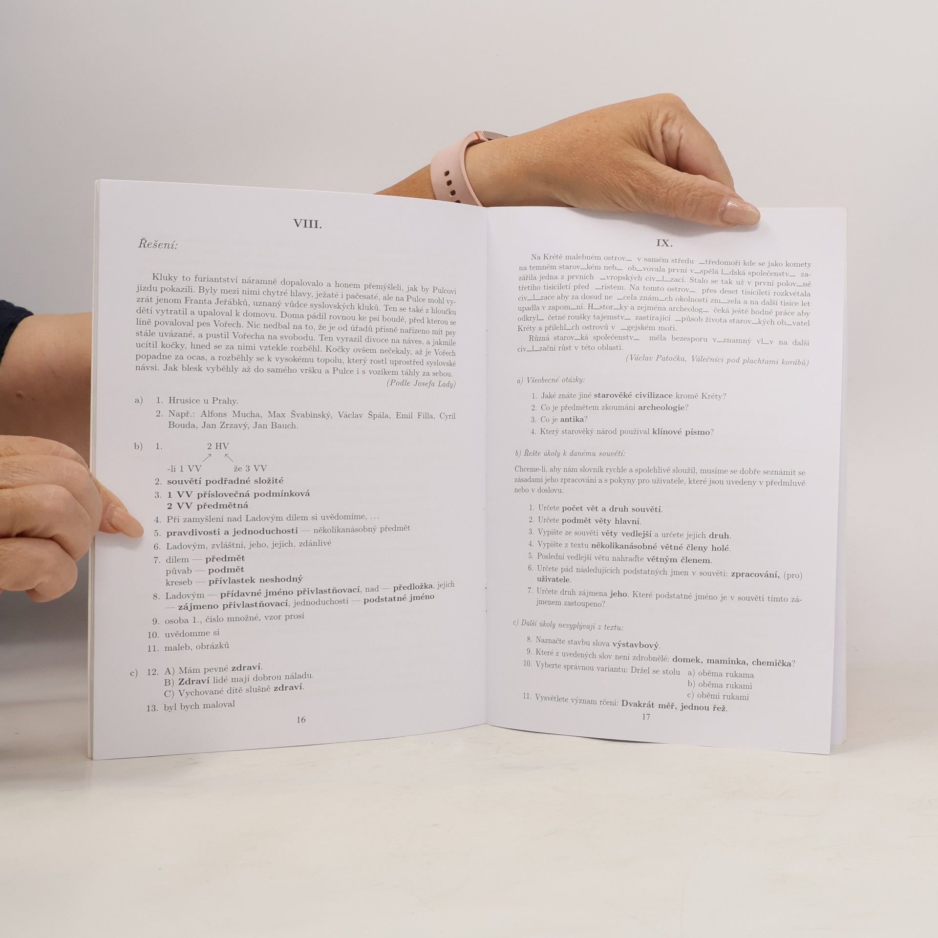 Various authors Zvládáš českou mluvnici?