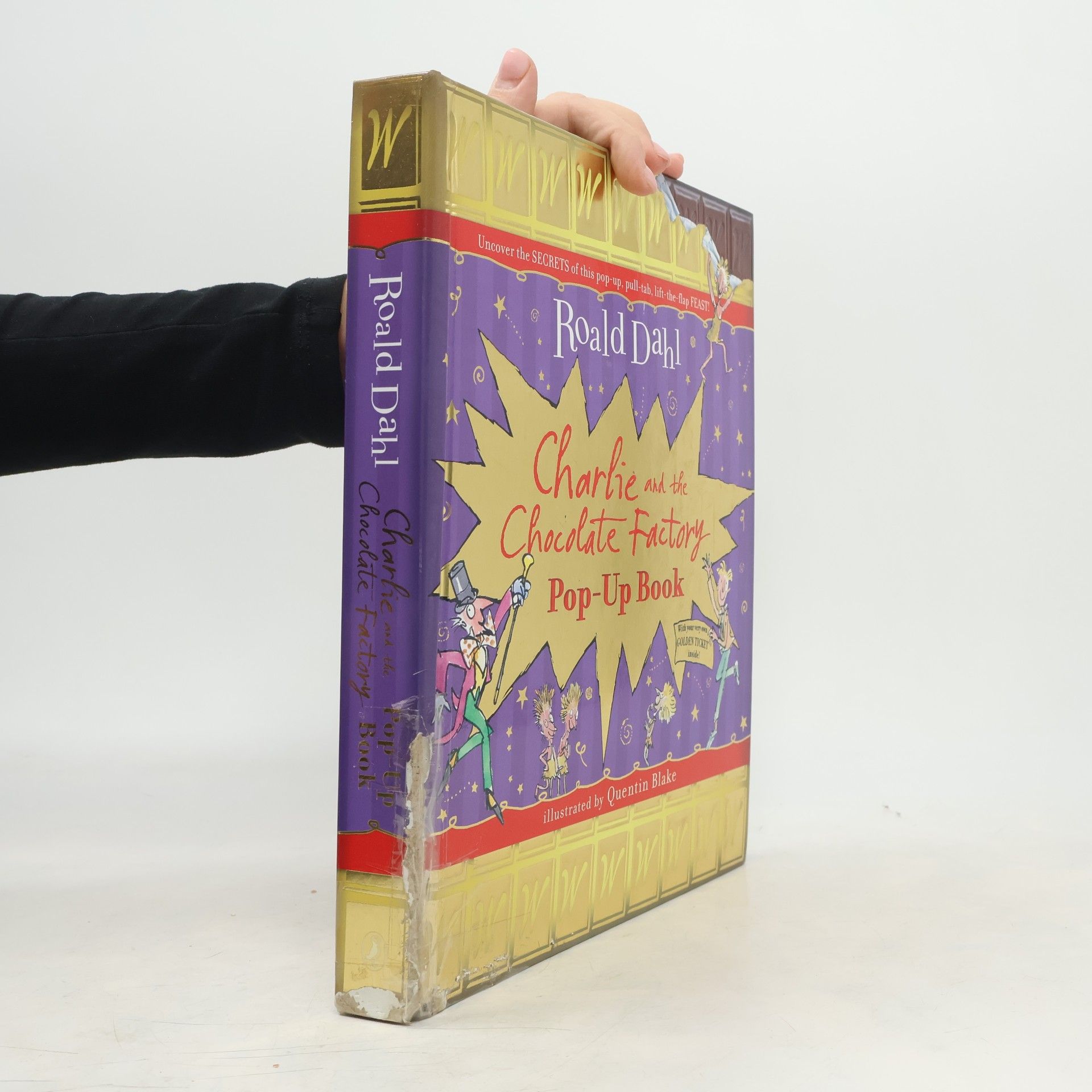 Roald Dahl Charlie and the Chocolate Factory