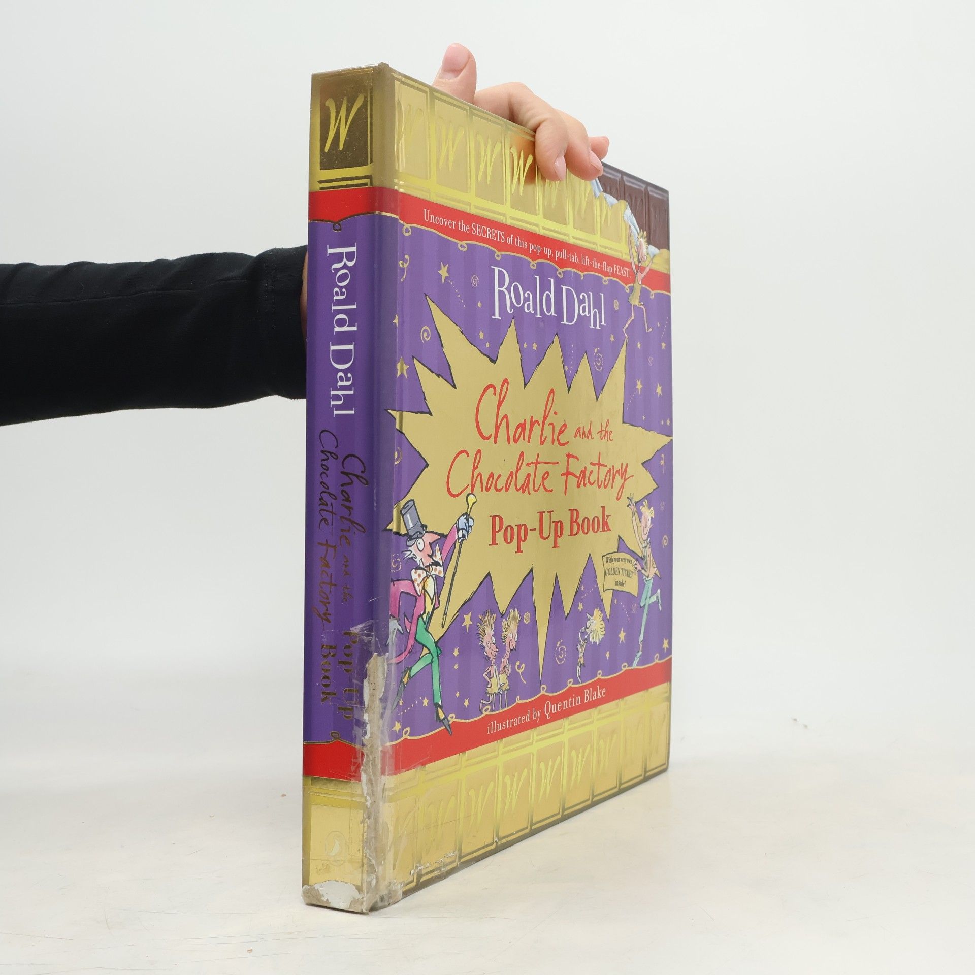 Roald Dahl Charlie and the Chocolate Factory