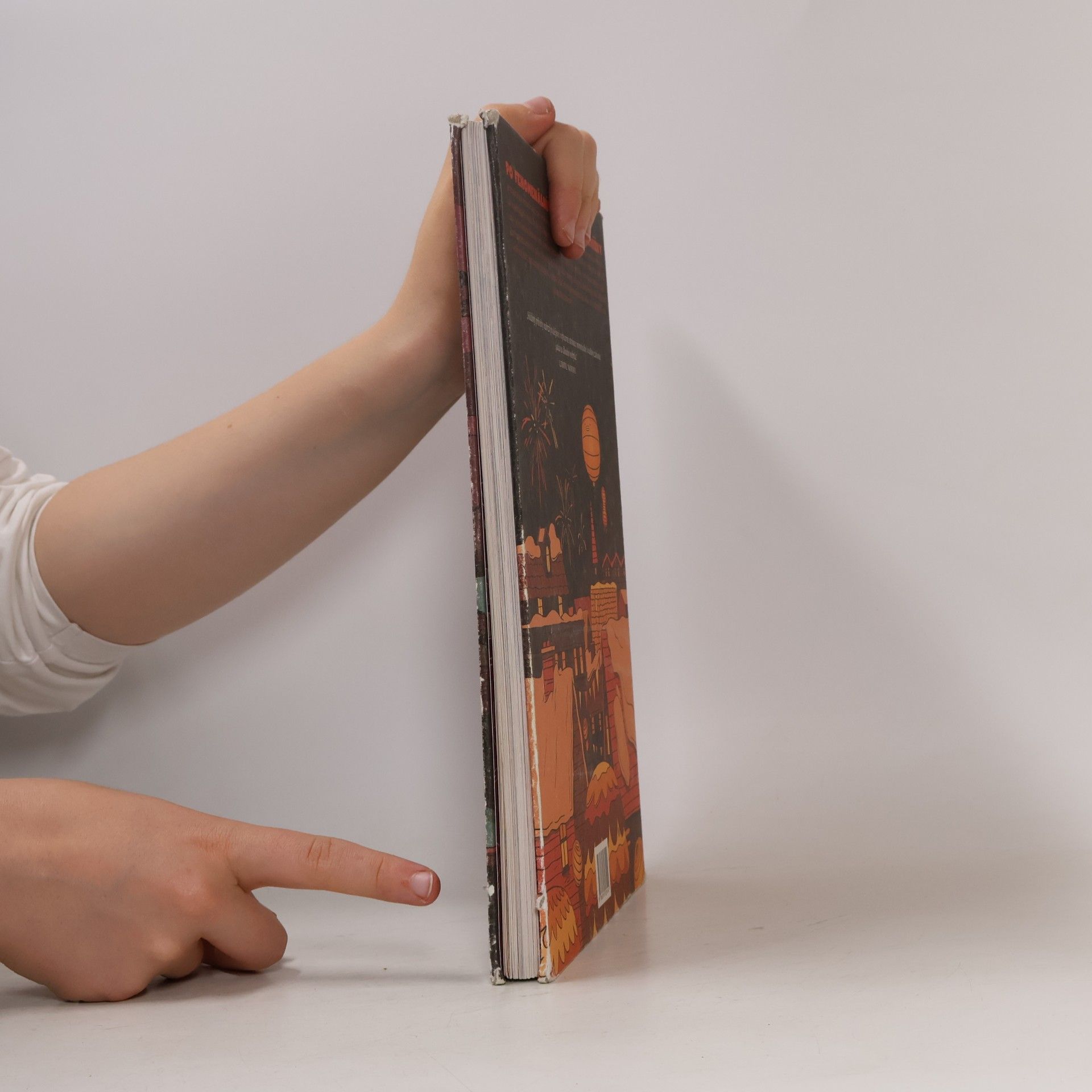 Luke Pearson Hilda a ptačí slavnost. Hilda a černý pes