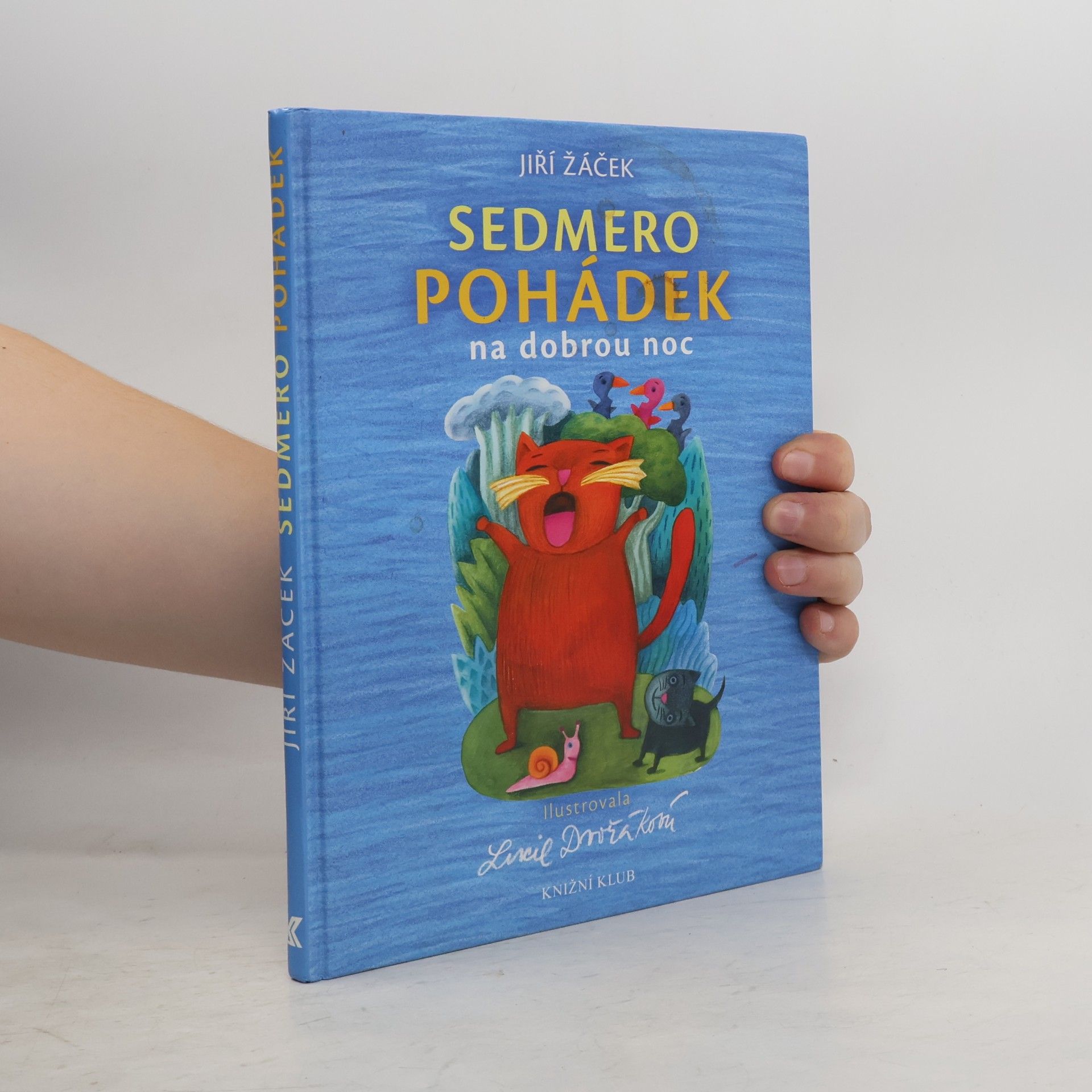 Jiří Žáček Sedmero pohádek na dobrou noc