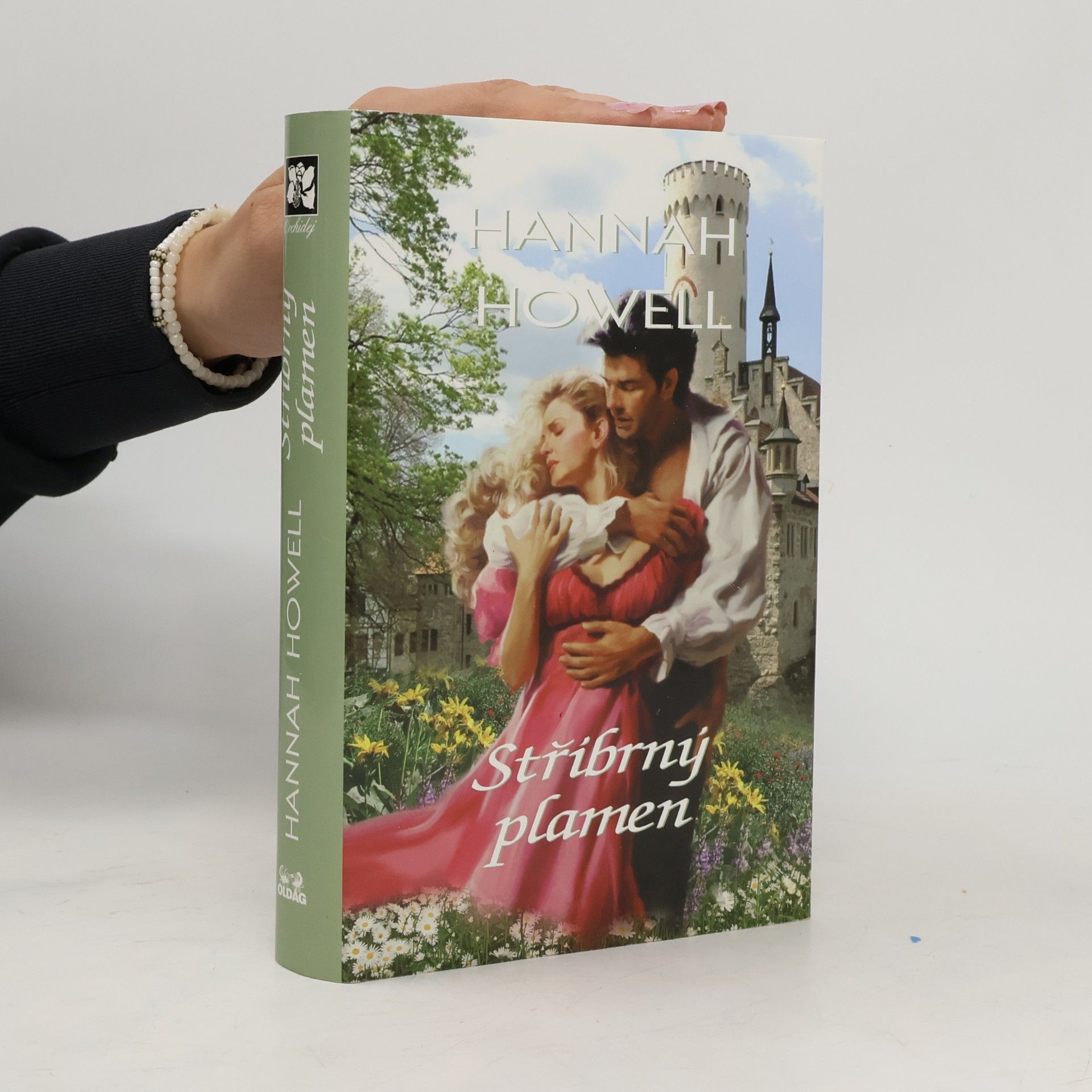 Hannah Howell Stříbrný plamen
