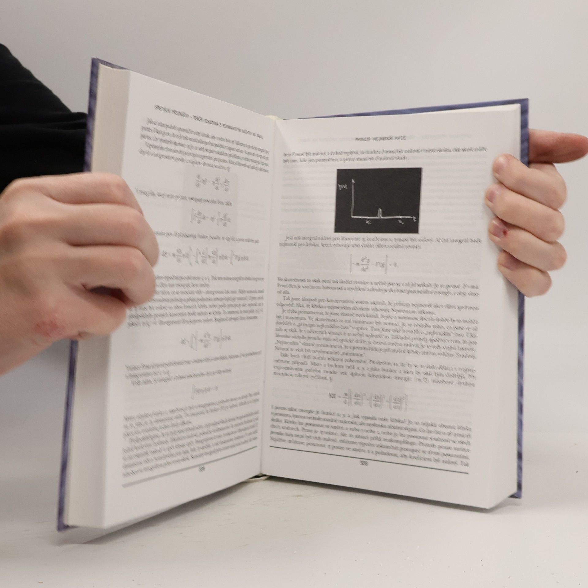 Richard Phillips Feynman Feynmanovy přednášky z fyziky s řešenými příklady 2/3