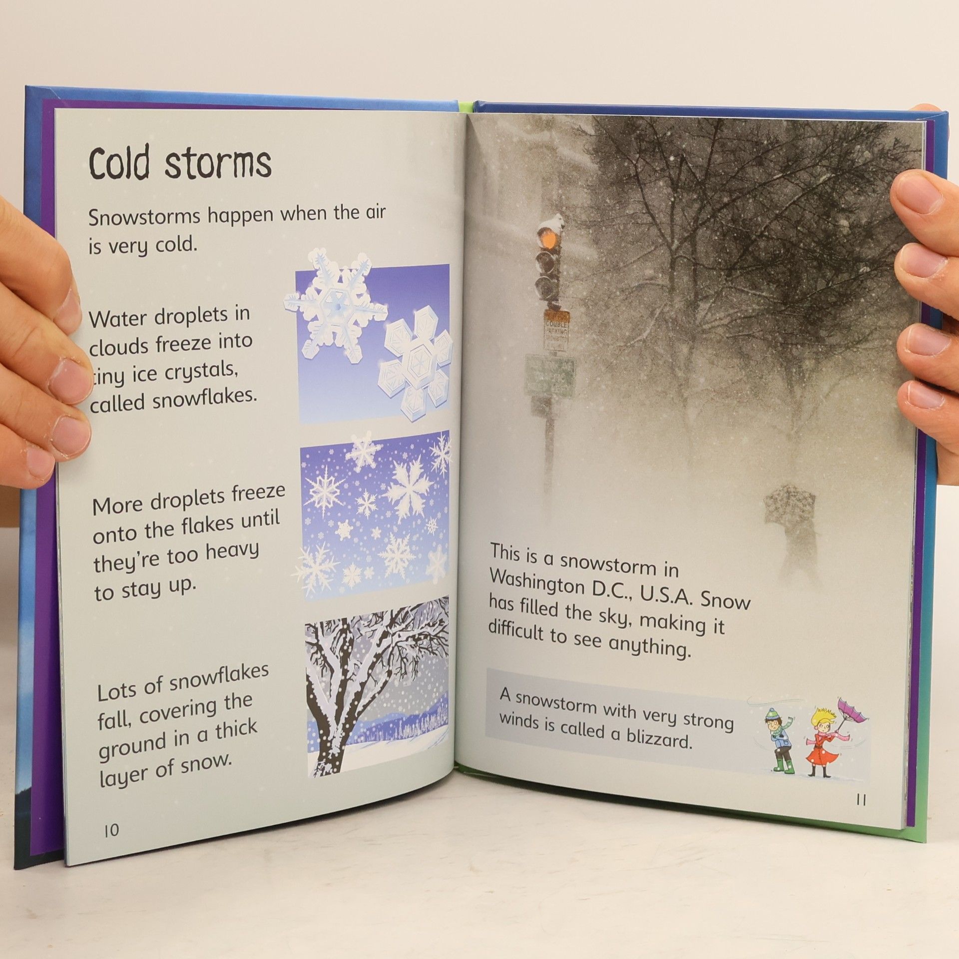 Emily Bone Storms and Hurricanes