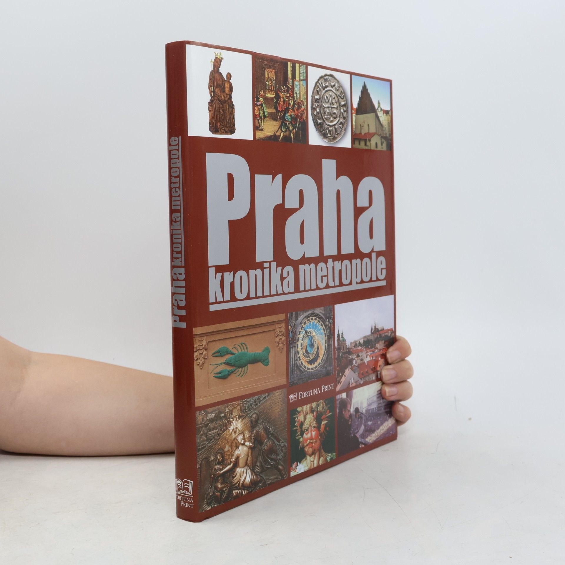 Pavel Bělina Praha : kronika metropole
