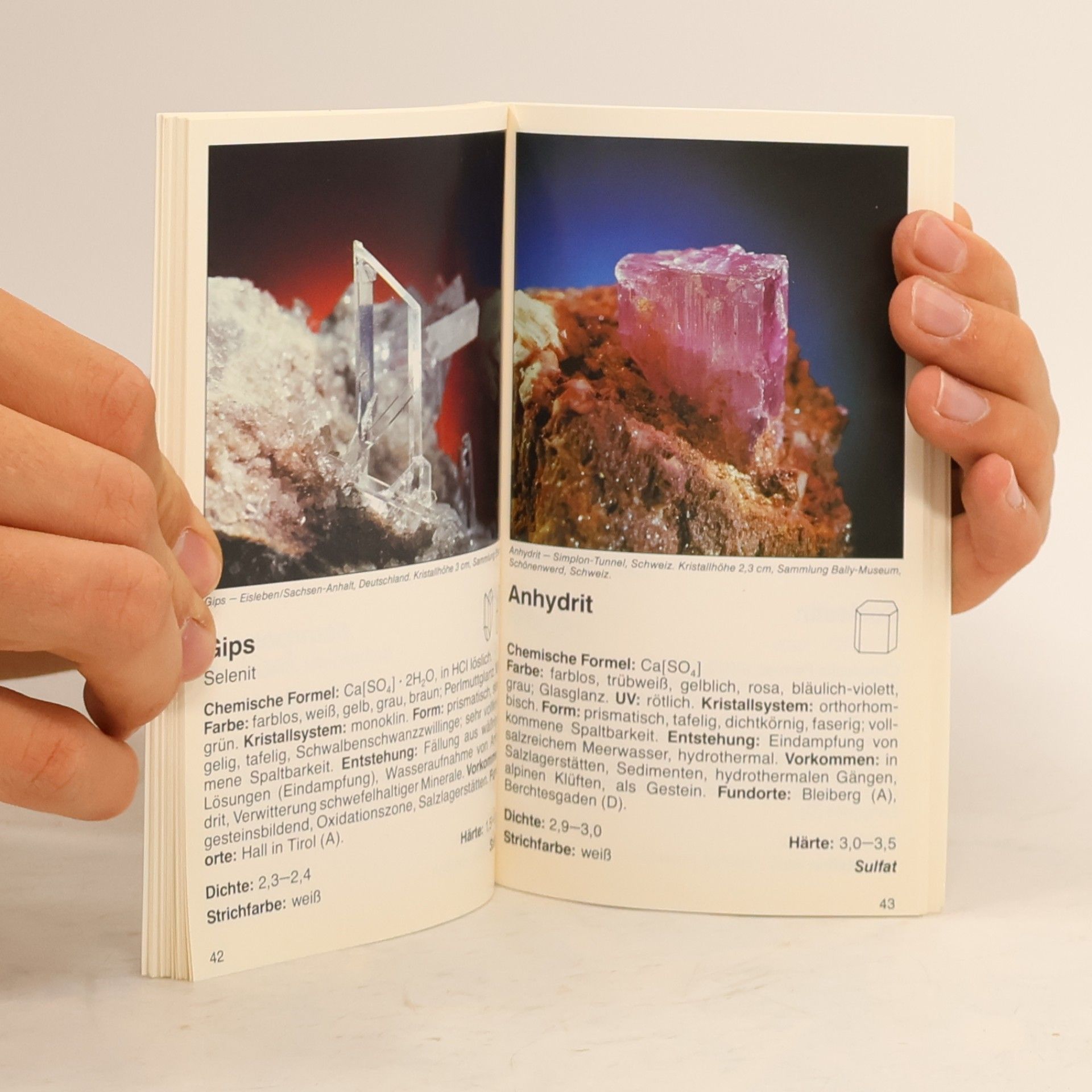 Ingrid Fleischmann Niederbacher Mineralien sehen und verstehen