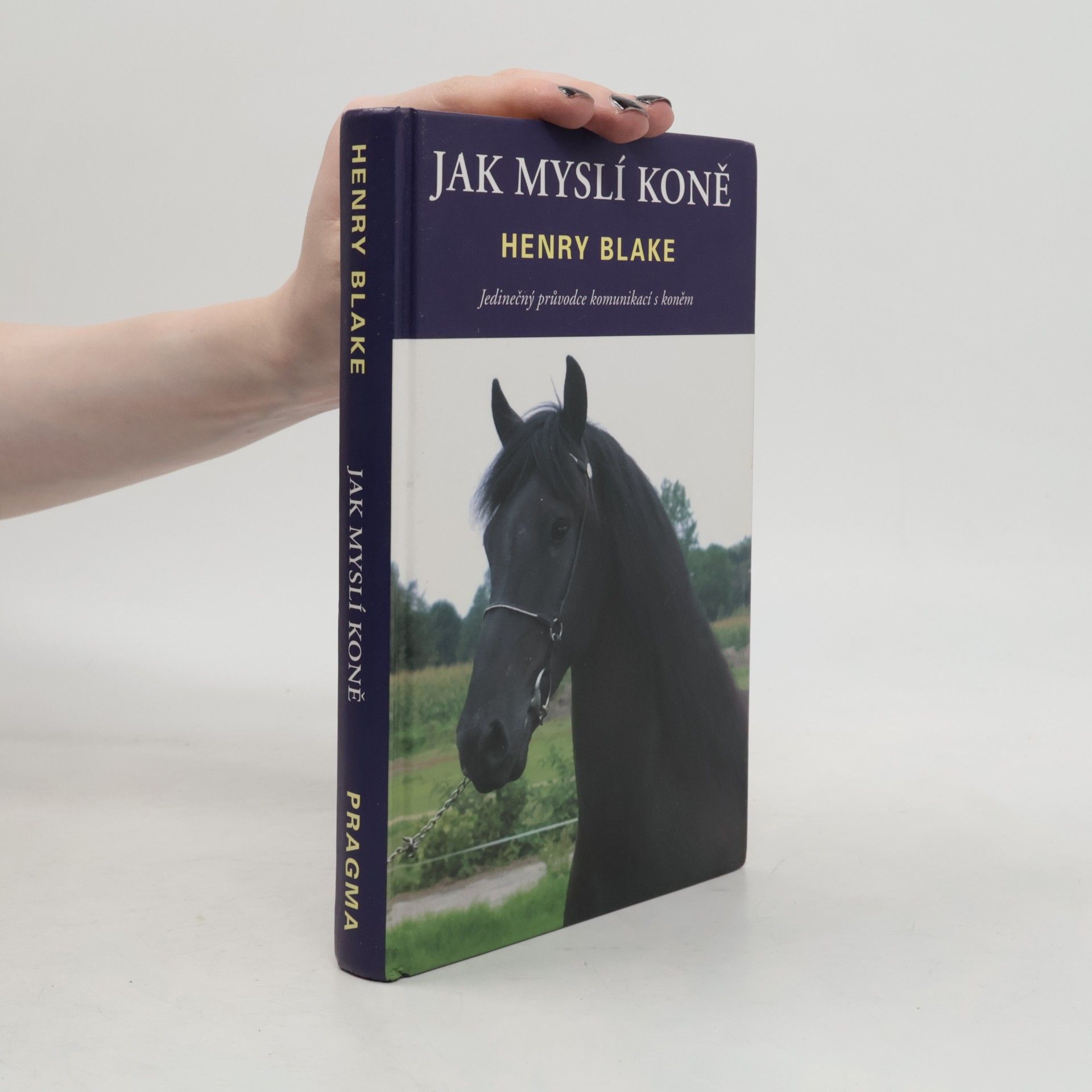 H. N. Blake Jak myslí koně