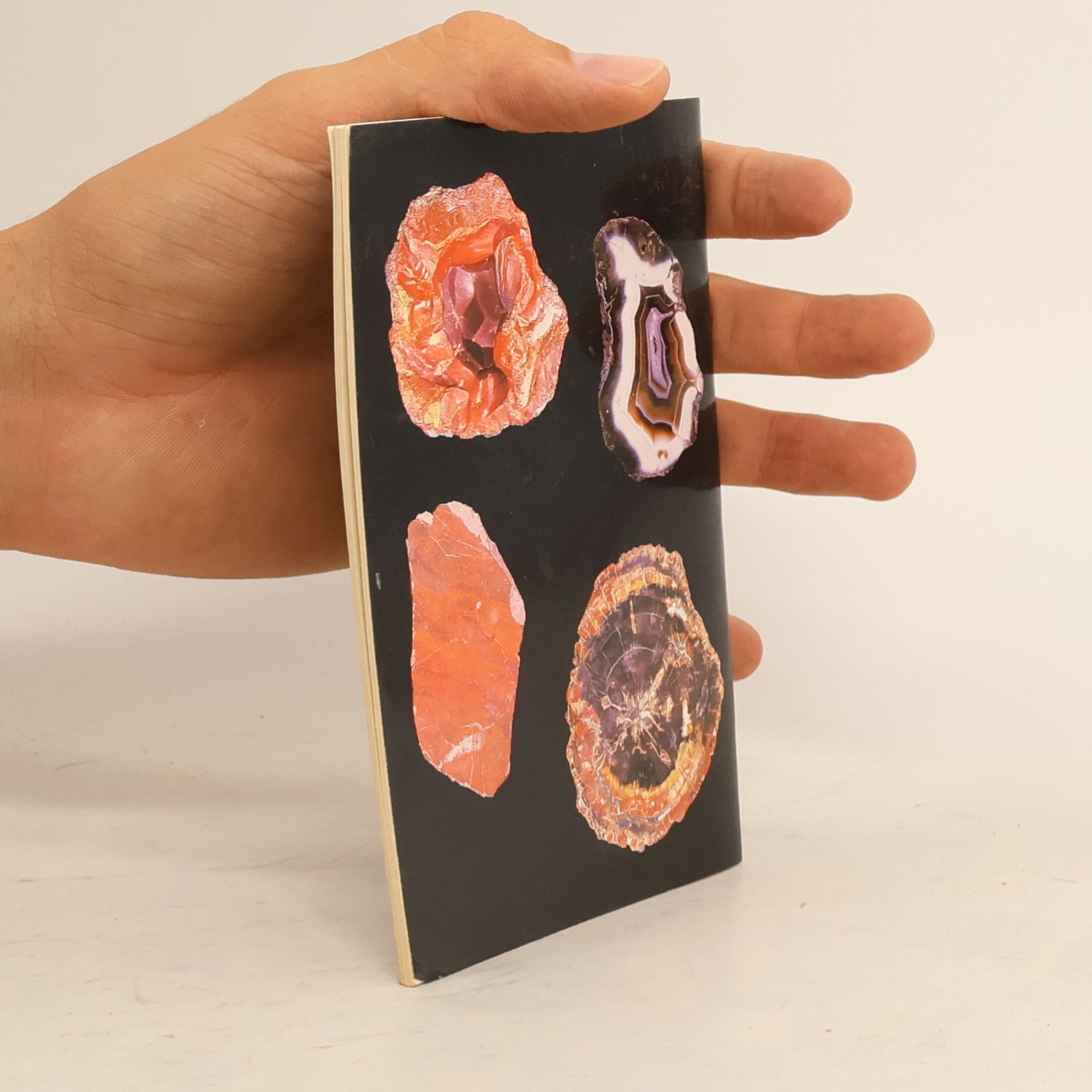 kolektiv Mineralienclub