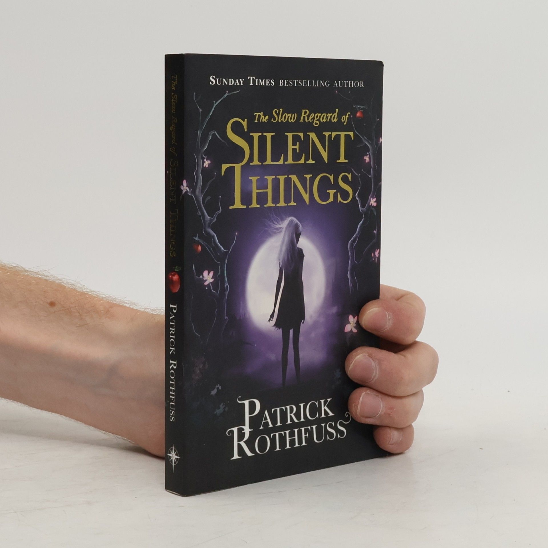 Patrick Rothfuss The Slow Regard of Silent Things