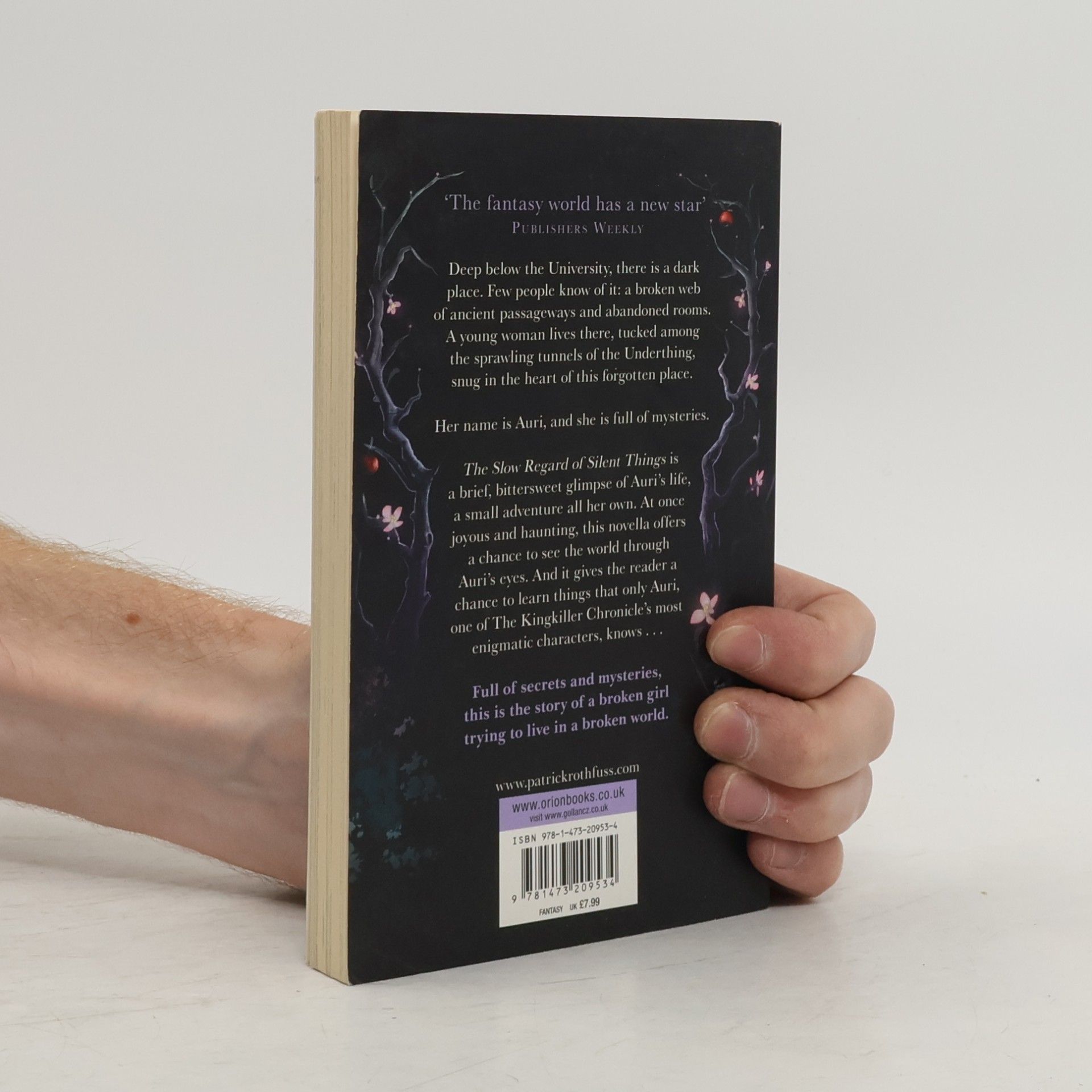 Patrick Rothfuss The Slow Regard of Silent Things