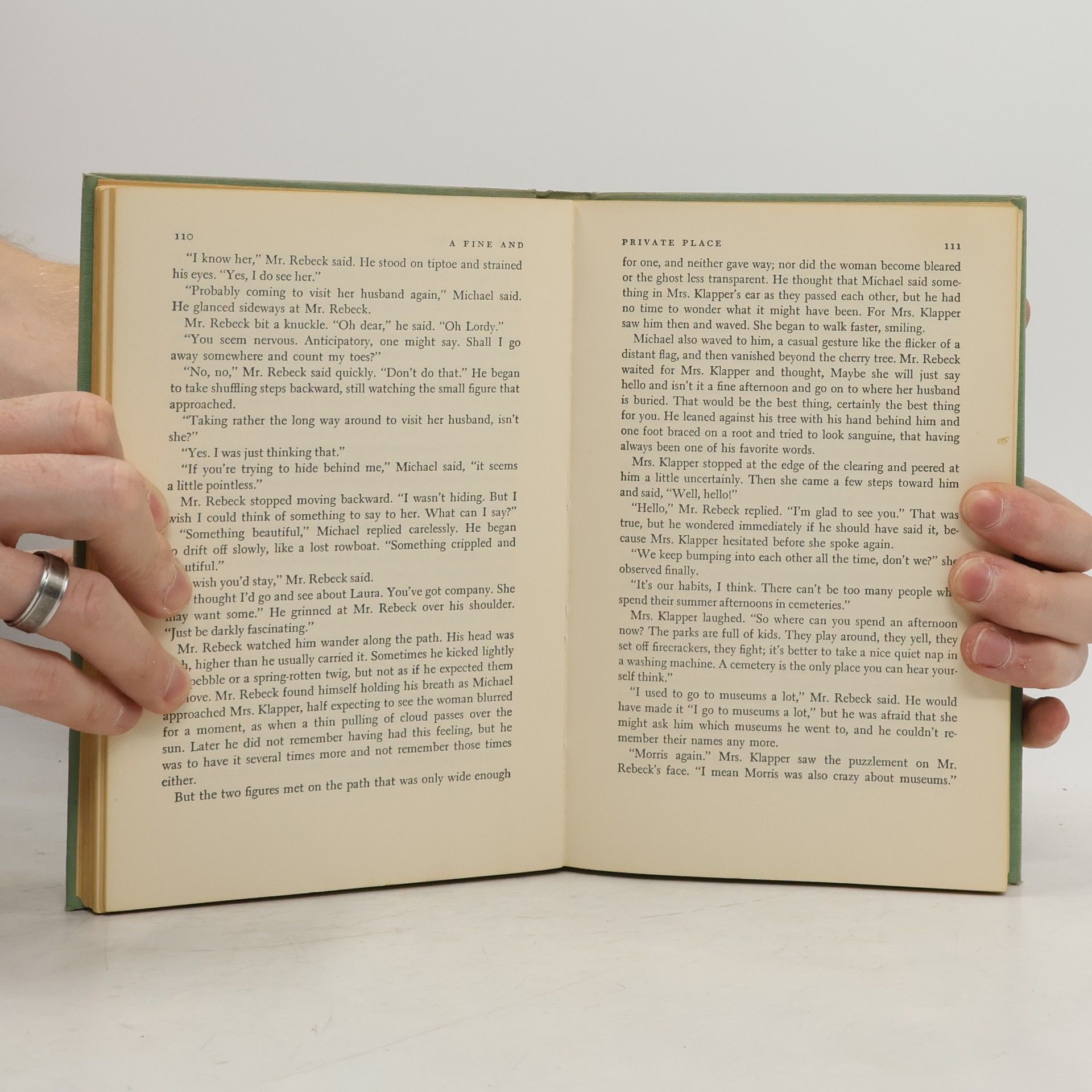 Peter S. Beagle A Fine and Private Place