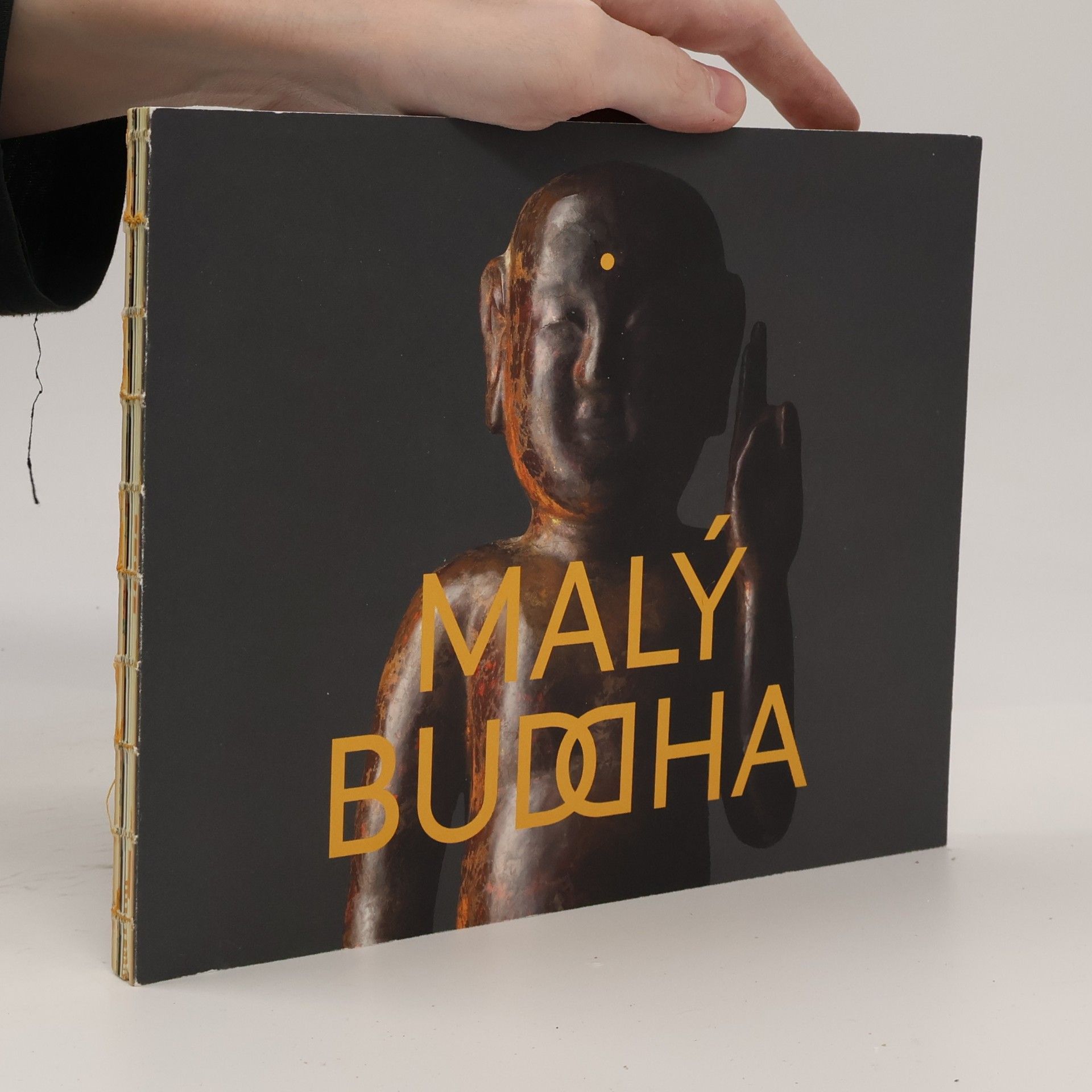 Blanka Kafková Malý Buddha