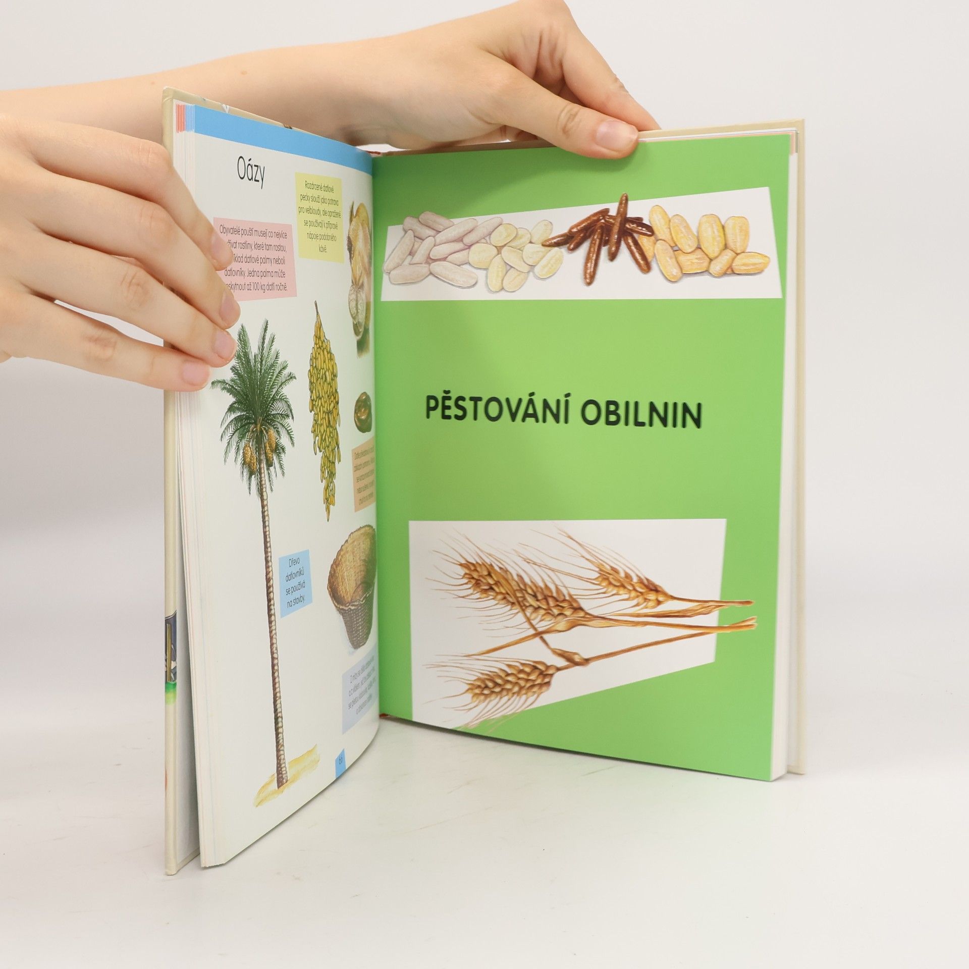 Autores varios Encyklopedie: Zvířata a rostliny