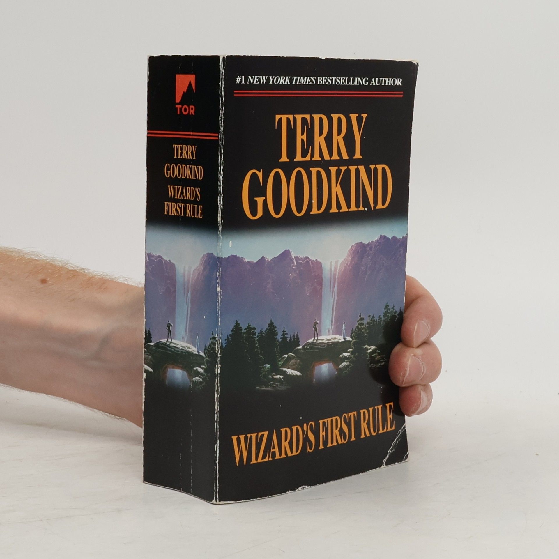 Terry Goodkind Wizard's First Rule
