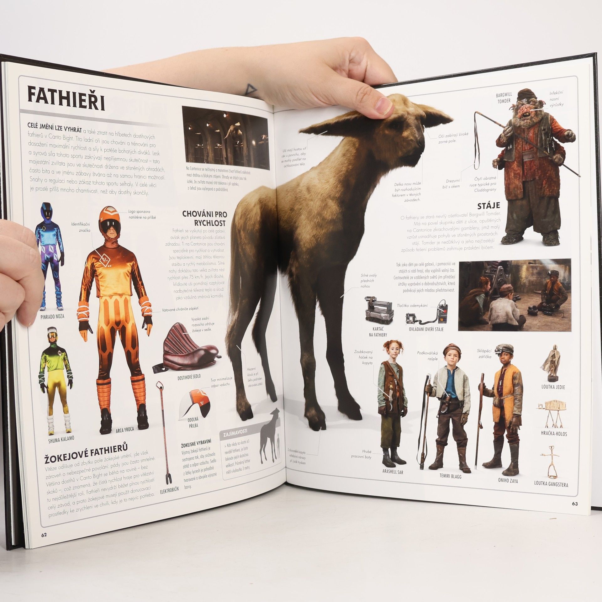Pablo Hidalgo Star Wars - Poslední z Jediů - Obrazový slovník