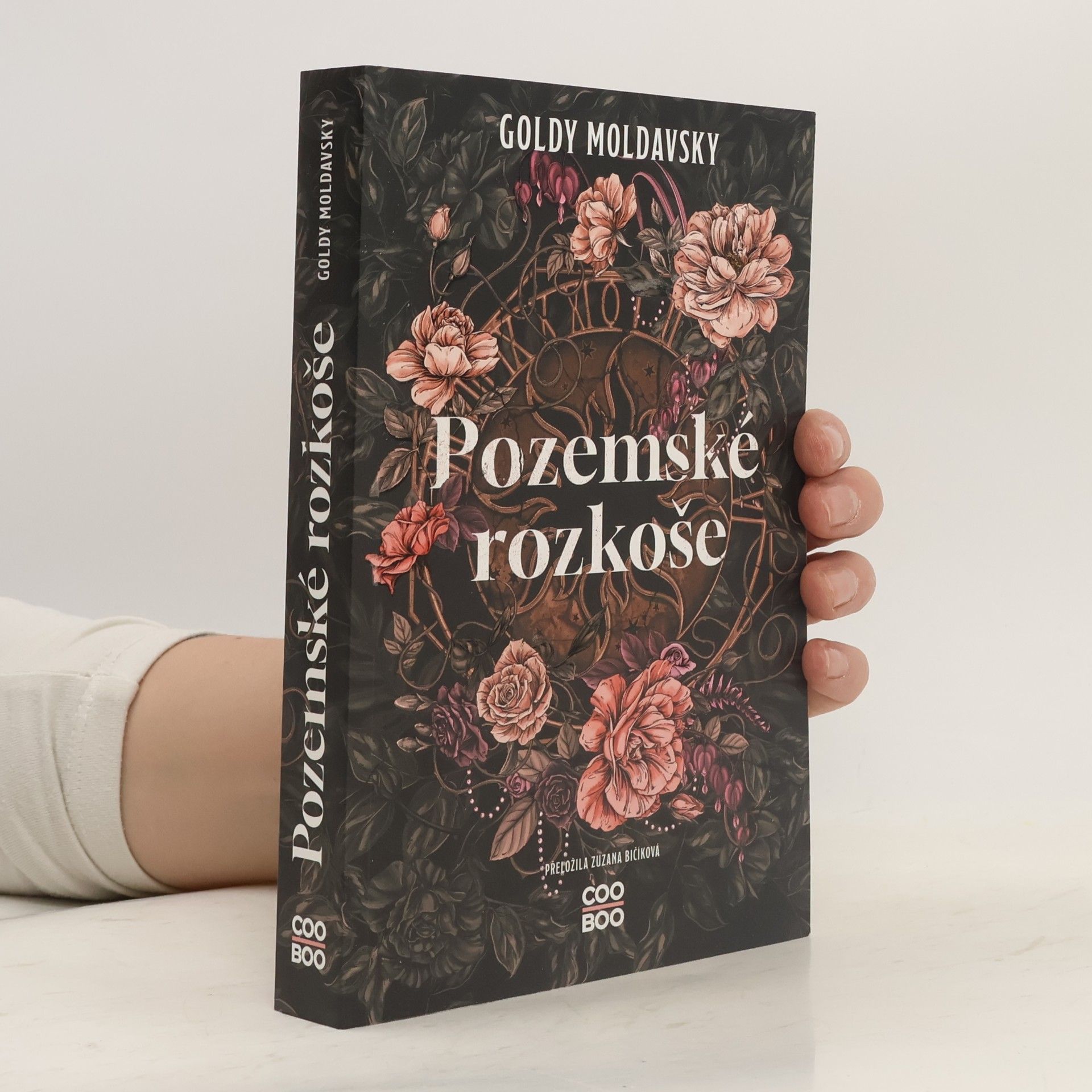 Pozemské rozkoše
