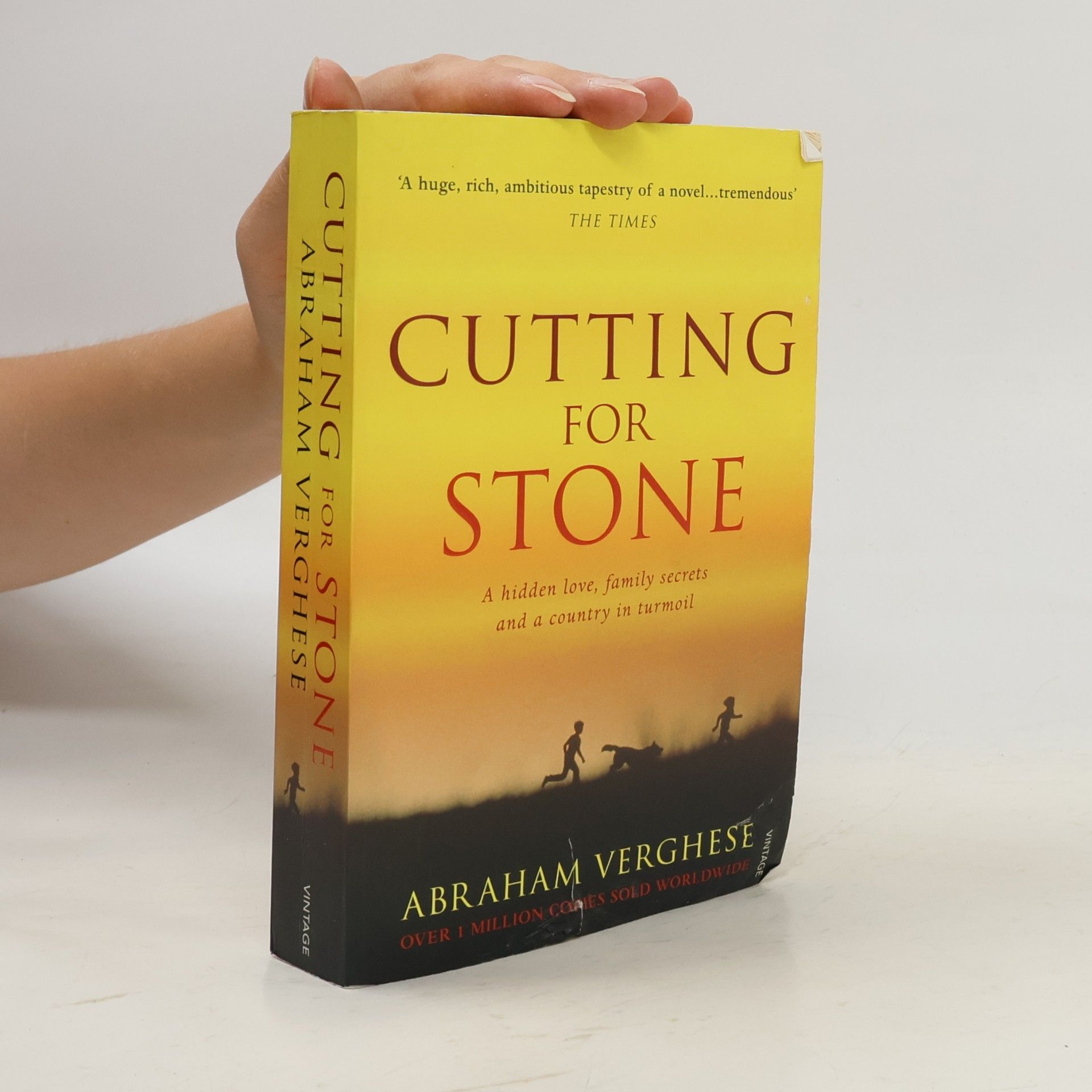 A. Abraham Verghese Cutting for Stone