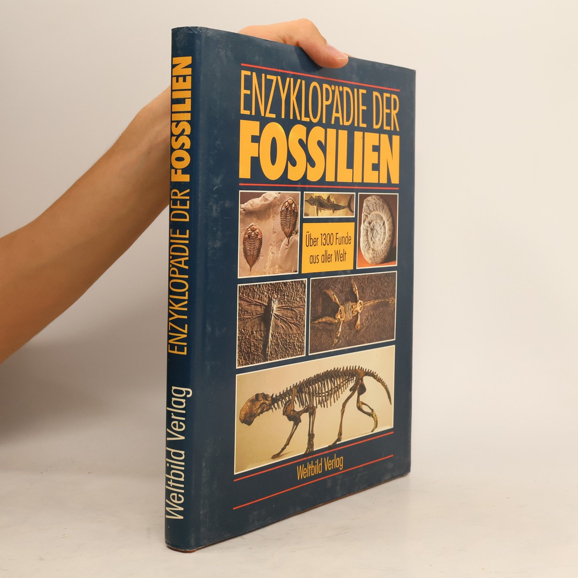 Giovanni Pinna Enzyklopädie der Fossilien
