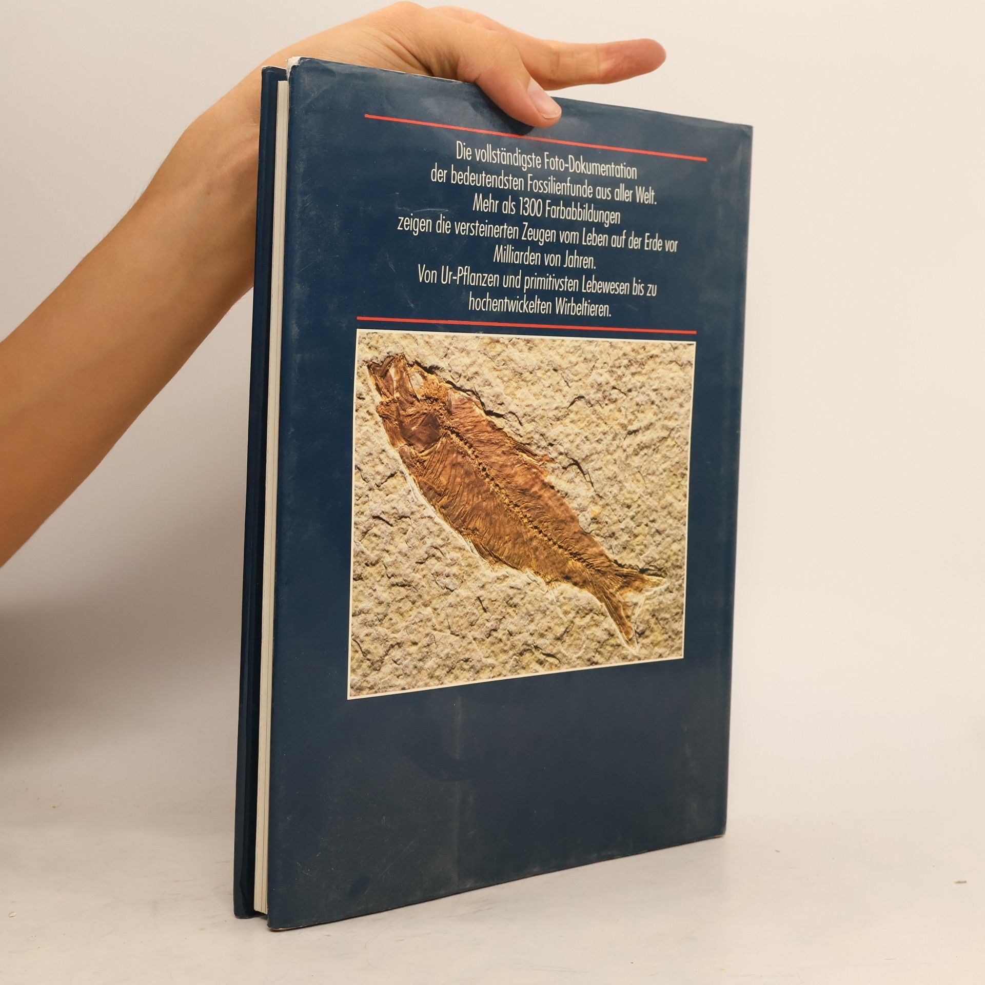 Giovanni Pinna Enzyklopädie der Fossilien