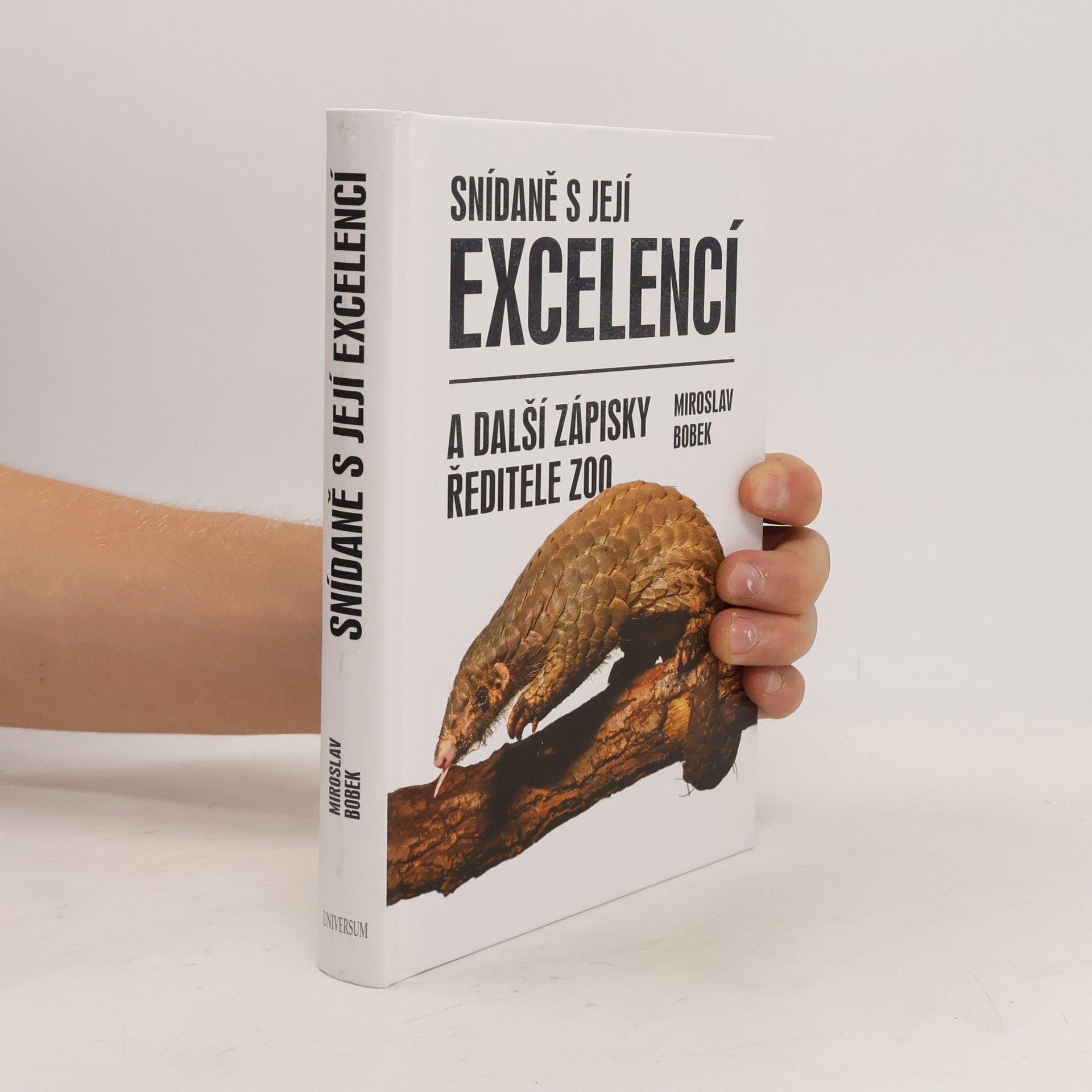 Miroslav Bobek Snídaně s její excelencí
