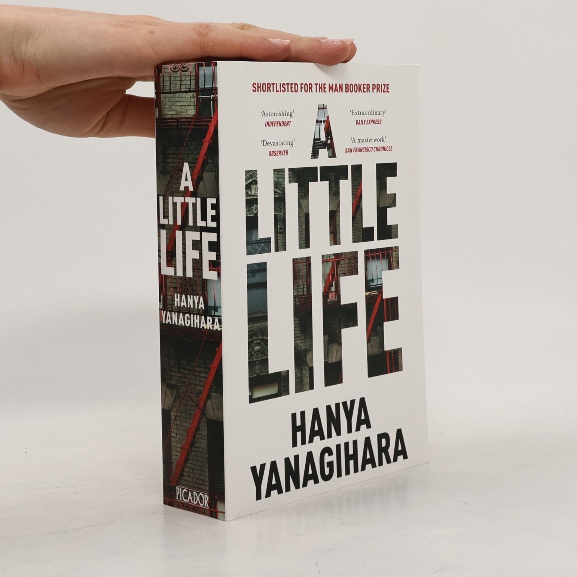 Hanya Yanagihara A Little Life