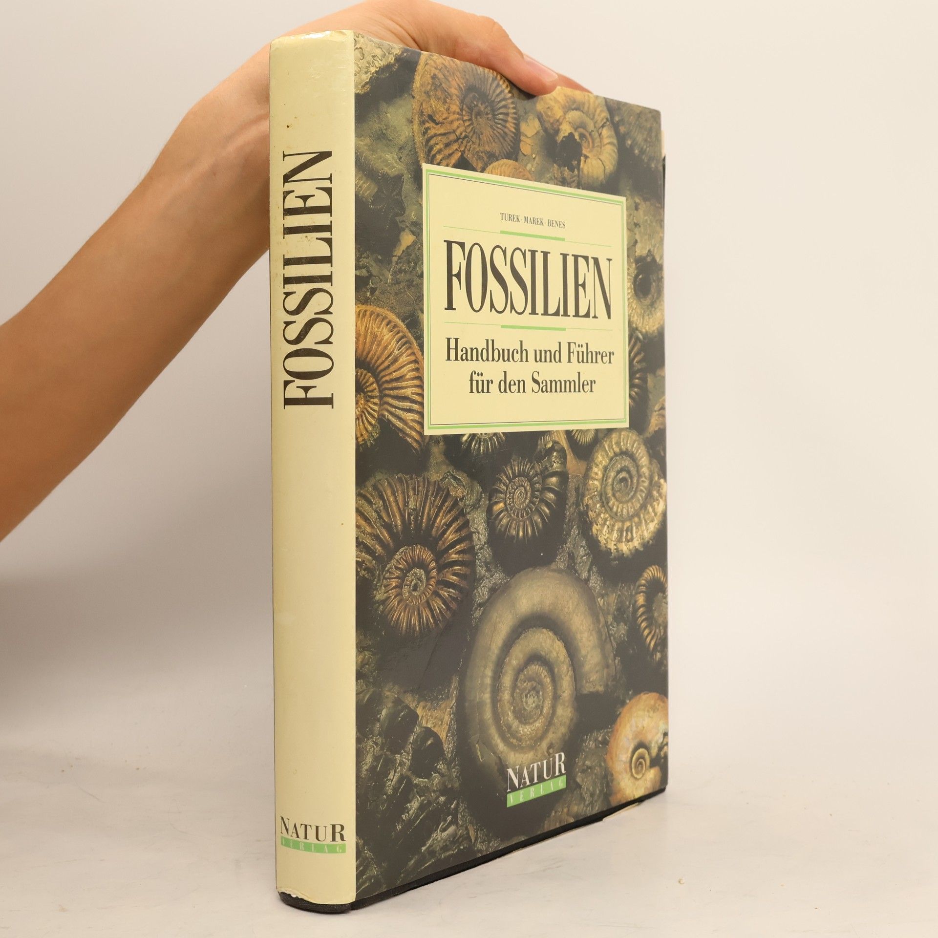 Fossilien