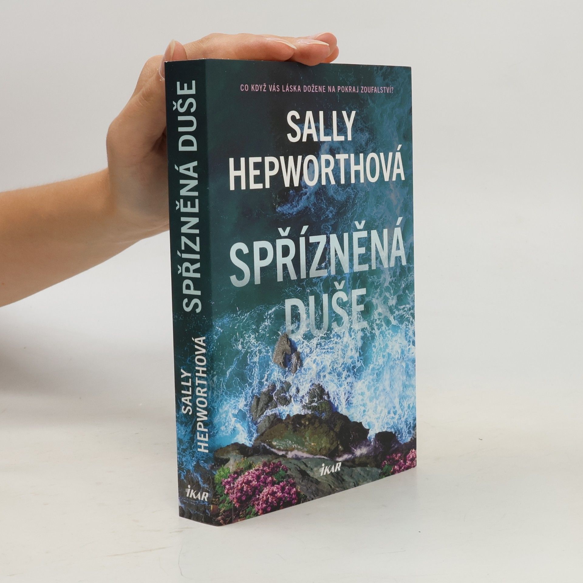 Sally Hepworth Spřízněná duše