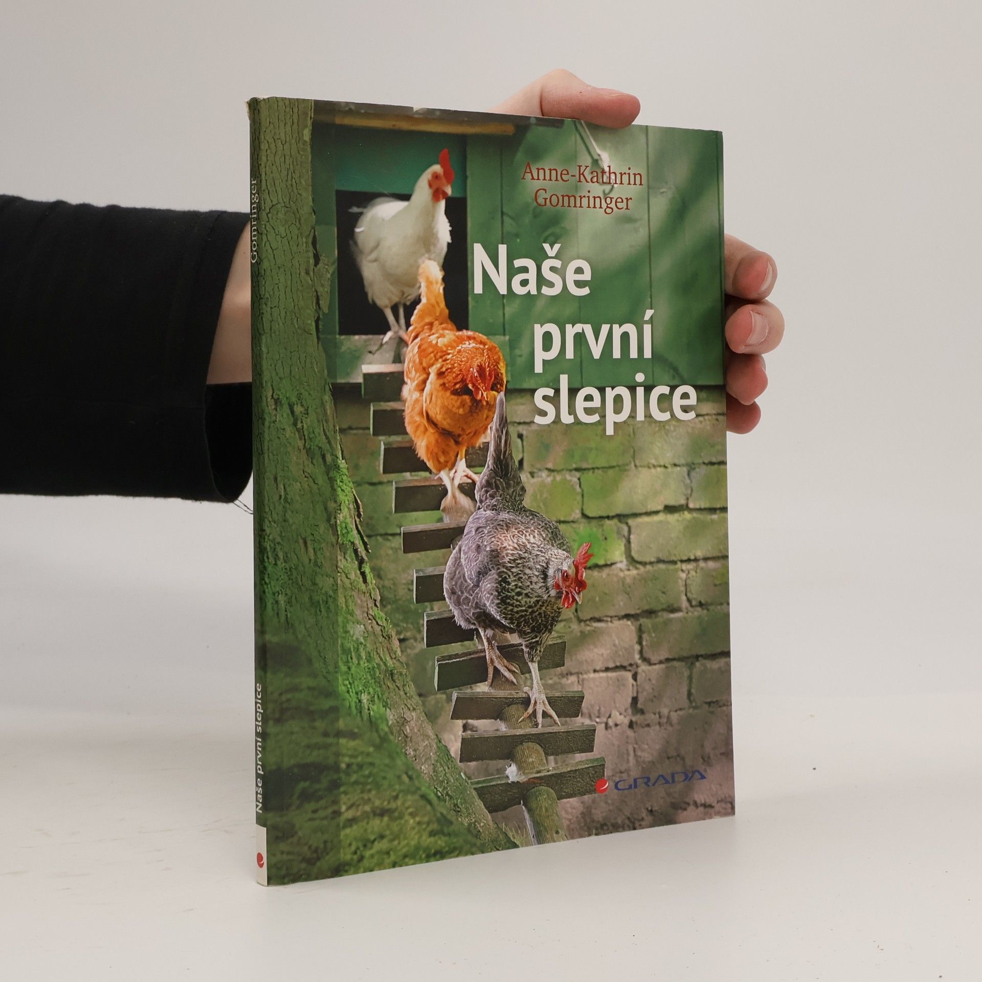 Anne Kathrin Gomringer Naše první slepice