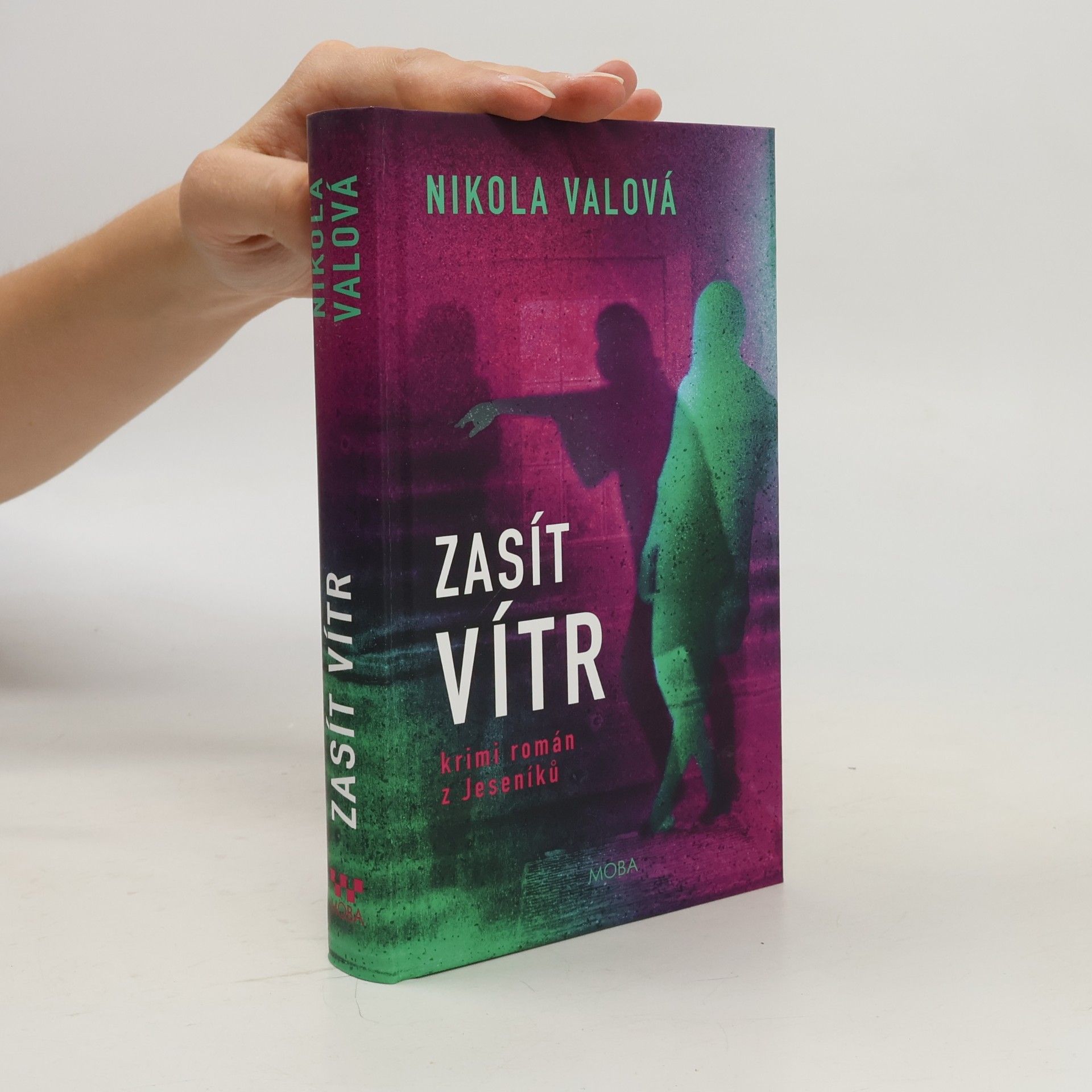 Zasít vítr