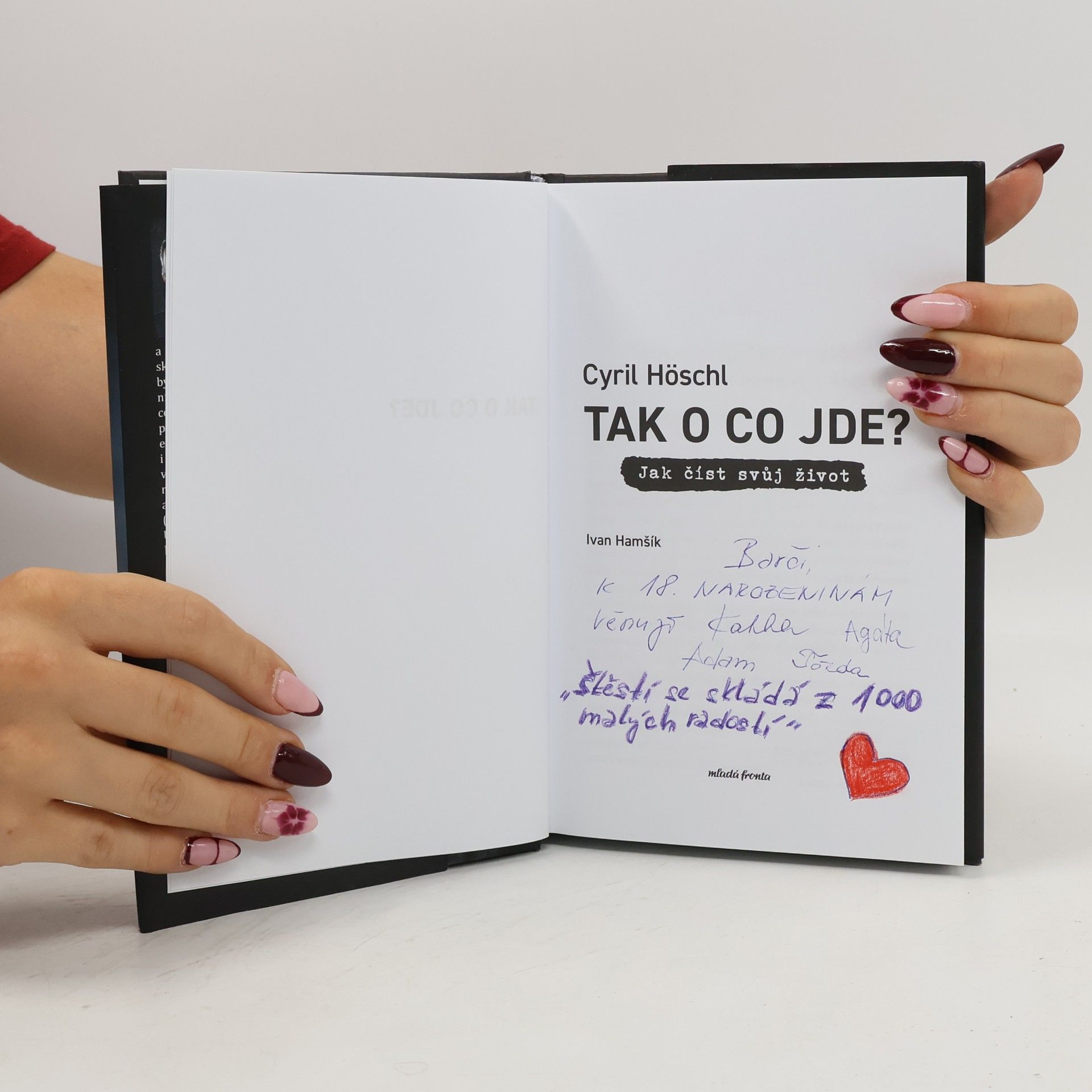 Cyril Höschl Tak o co jde? Jak číst svůj život