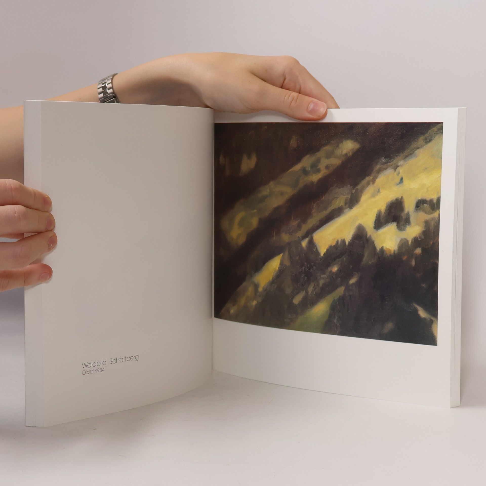 Collectif d'auteurs Evi Fersterer