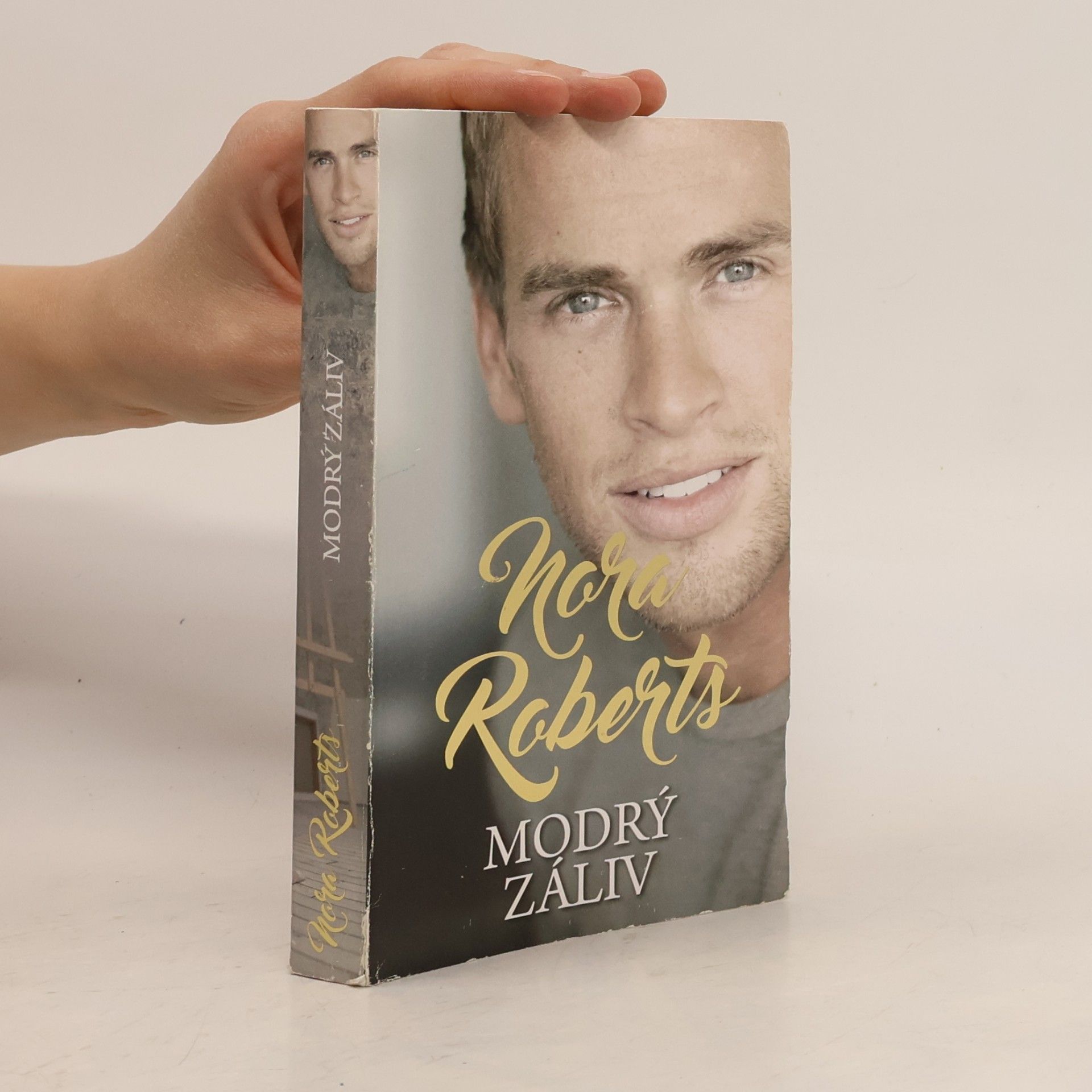 Nora Roberts Modrý záliv