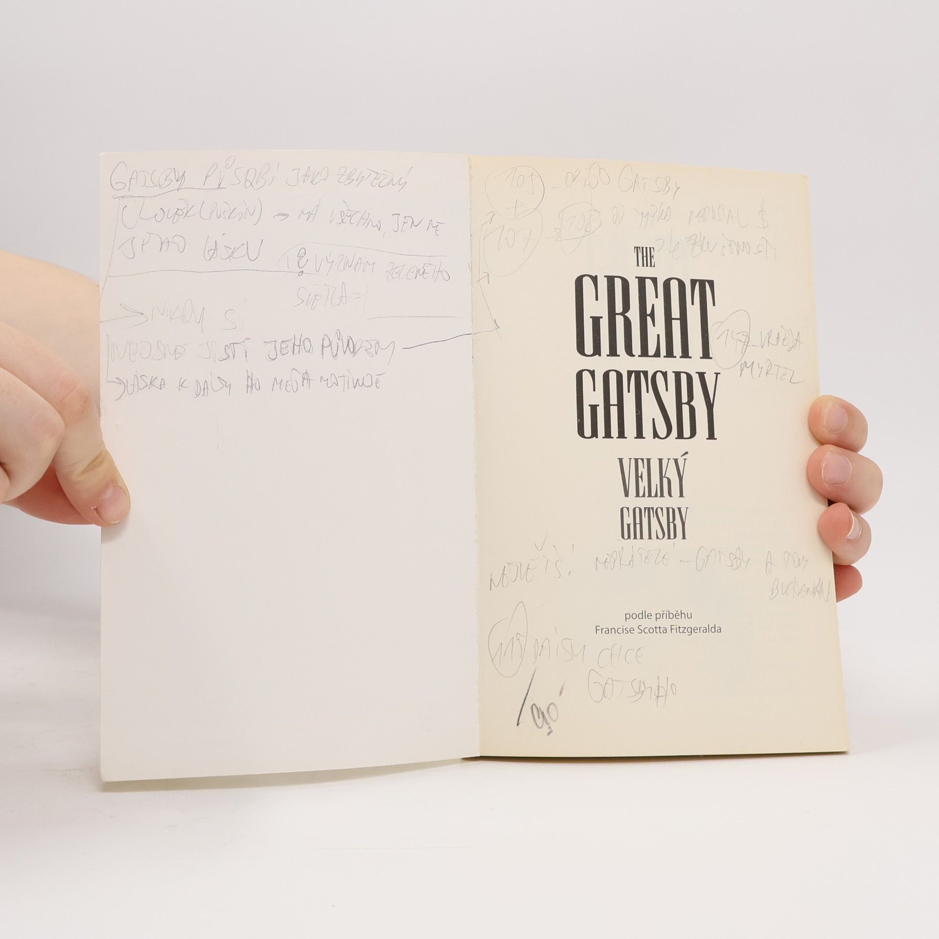 Ashley Davies The Great Gatsby. Velký Gatsby