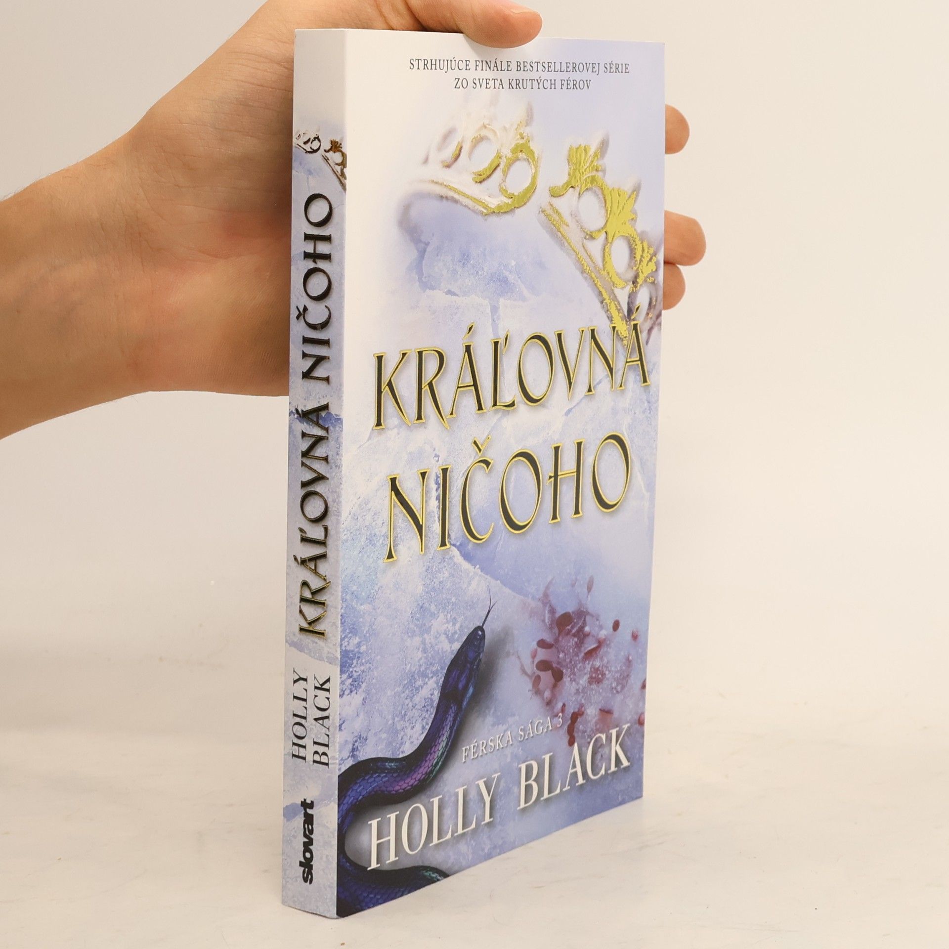 Holly Black Kráľovná ničoho