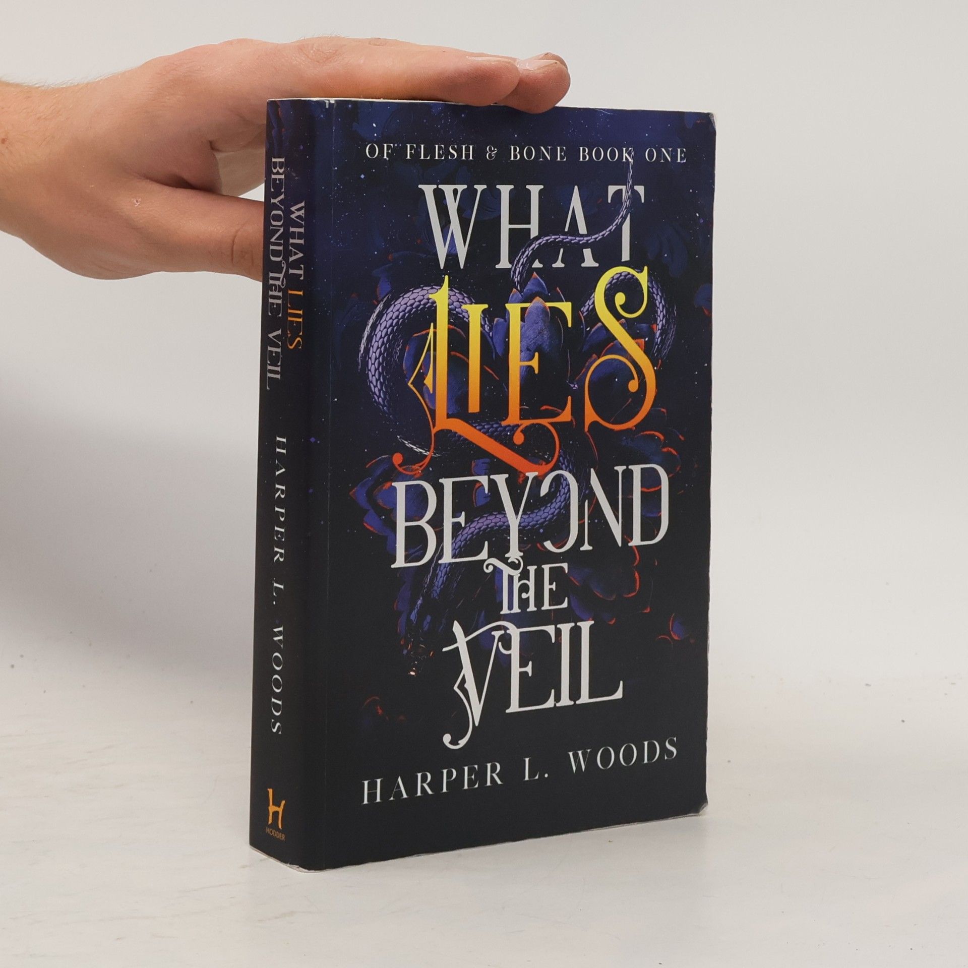 What Lies Beyond the Veil