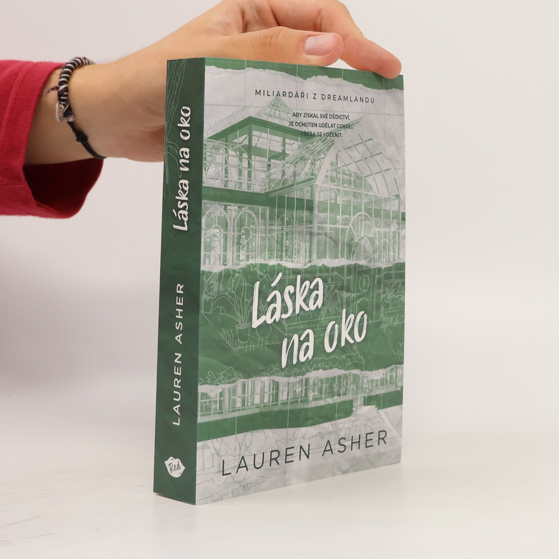 Lauren Asher Láska na oko