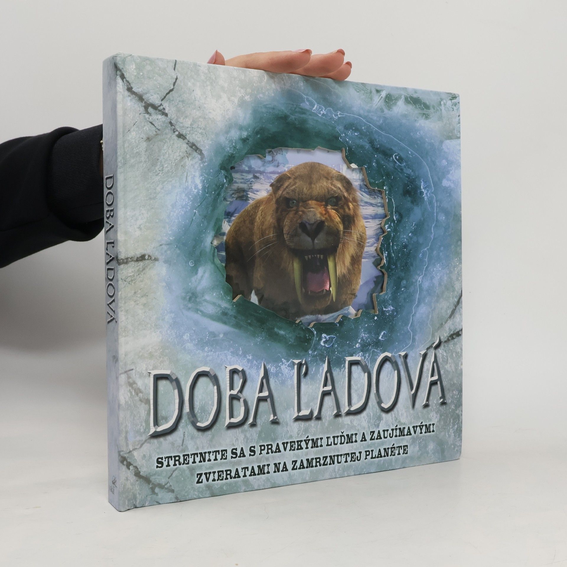 Autorenkollektiv Doba ľadová